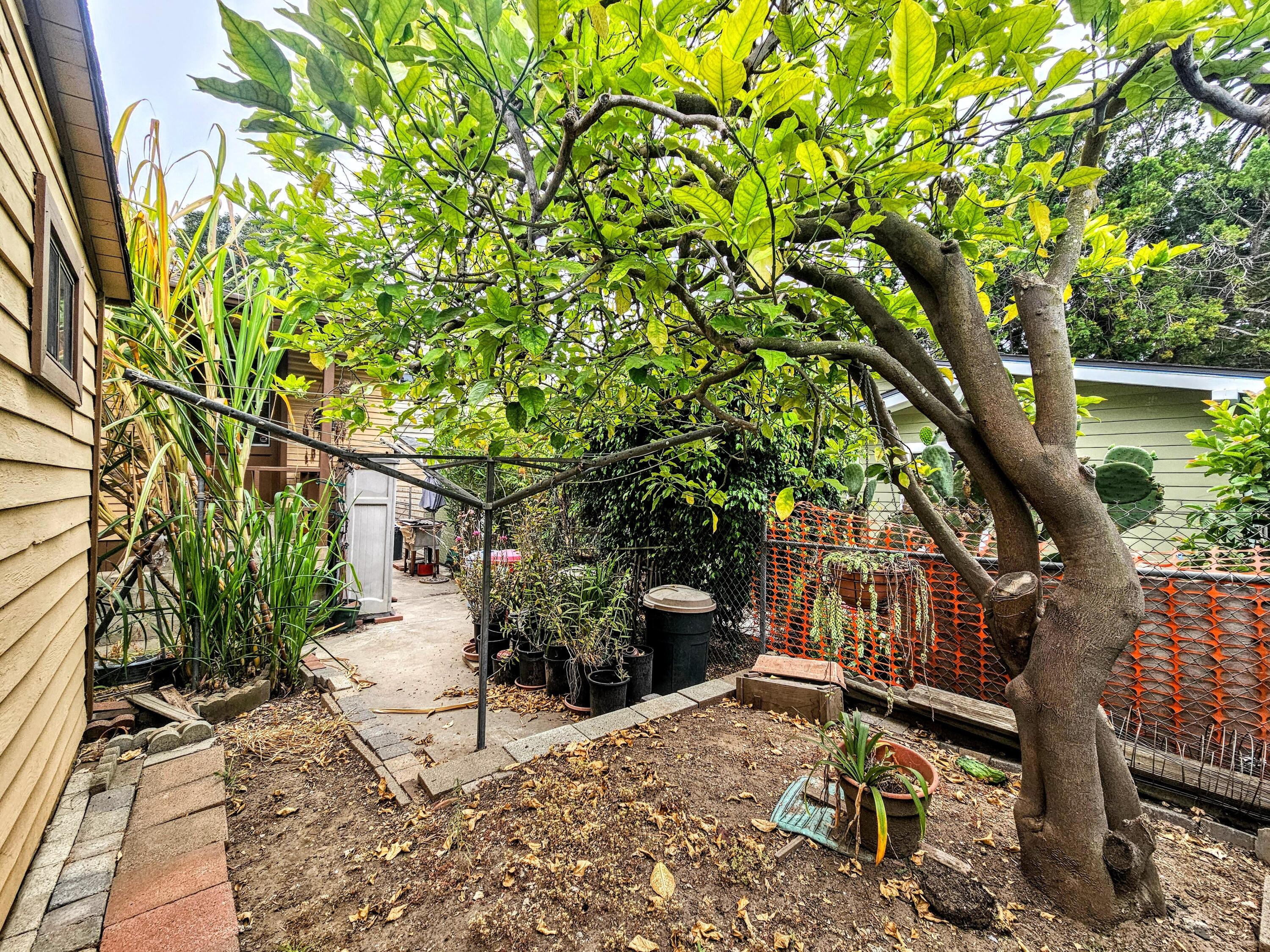 515 Brinkerhoff Avenue