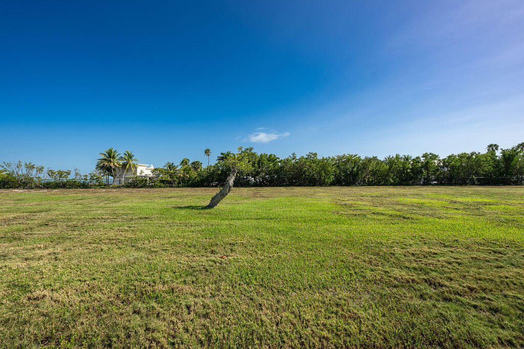 17279 Pinetree Lane