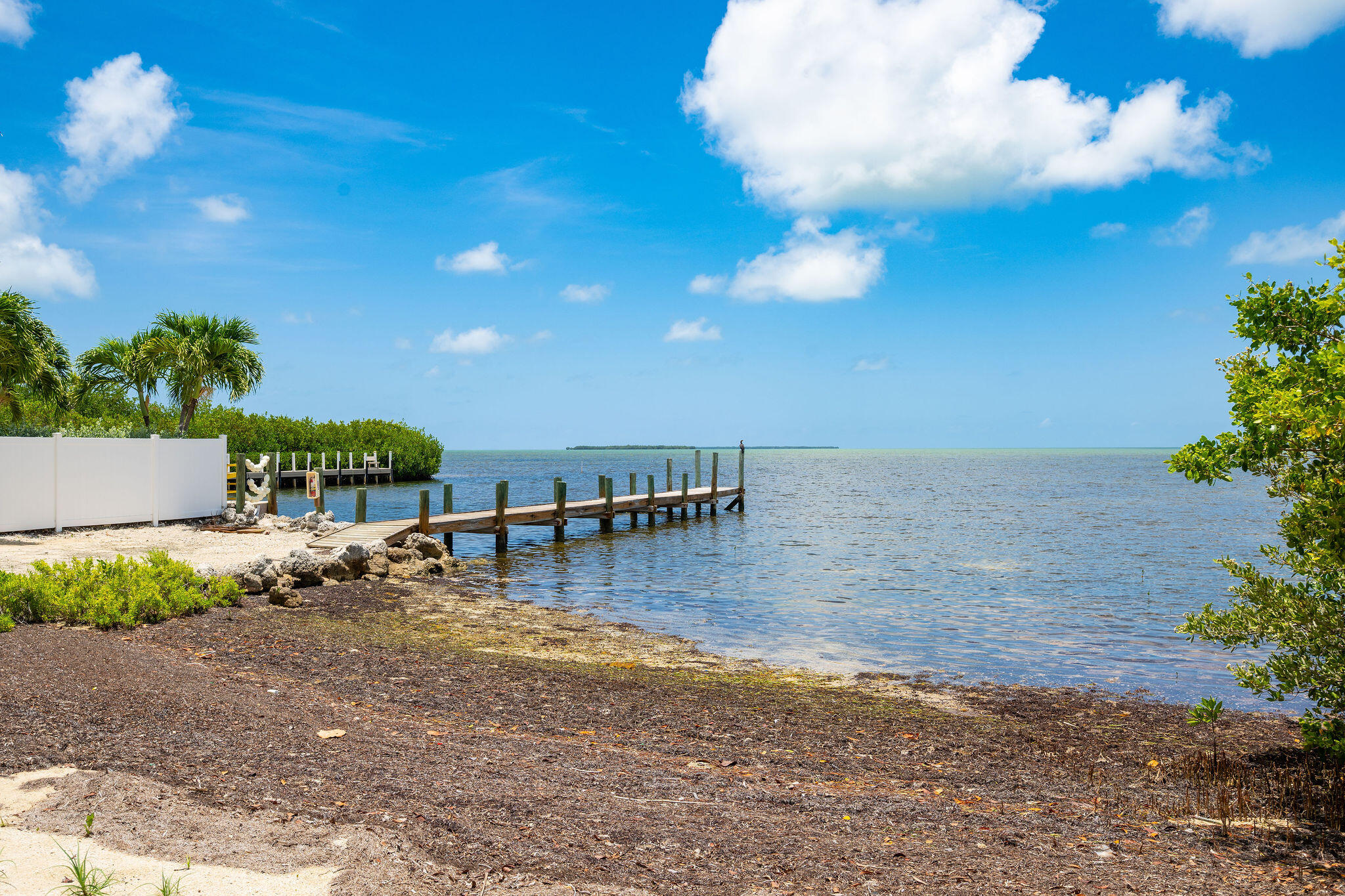 Waterfront shoreline with a wooden dock extending into calm blue water beside palms and mangroves.