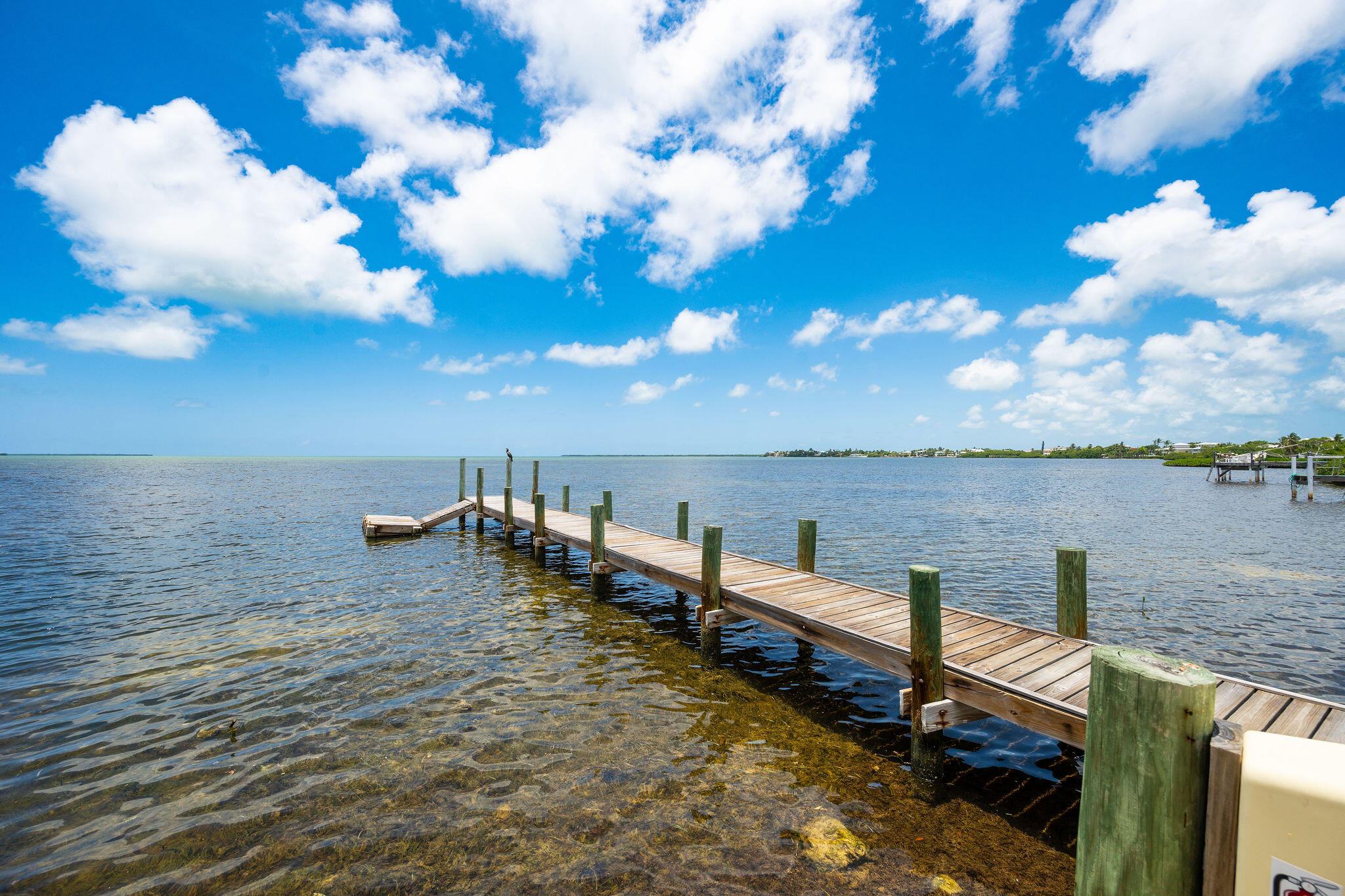Wooden dock stretching across clear bay water, with a bird perched on a piling.