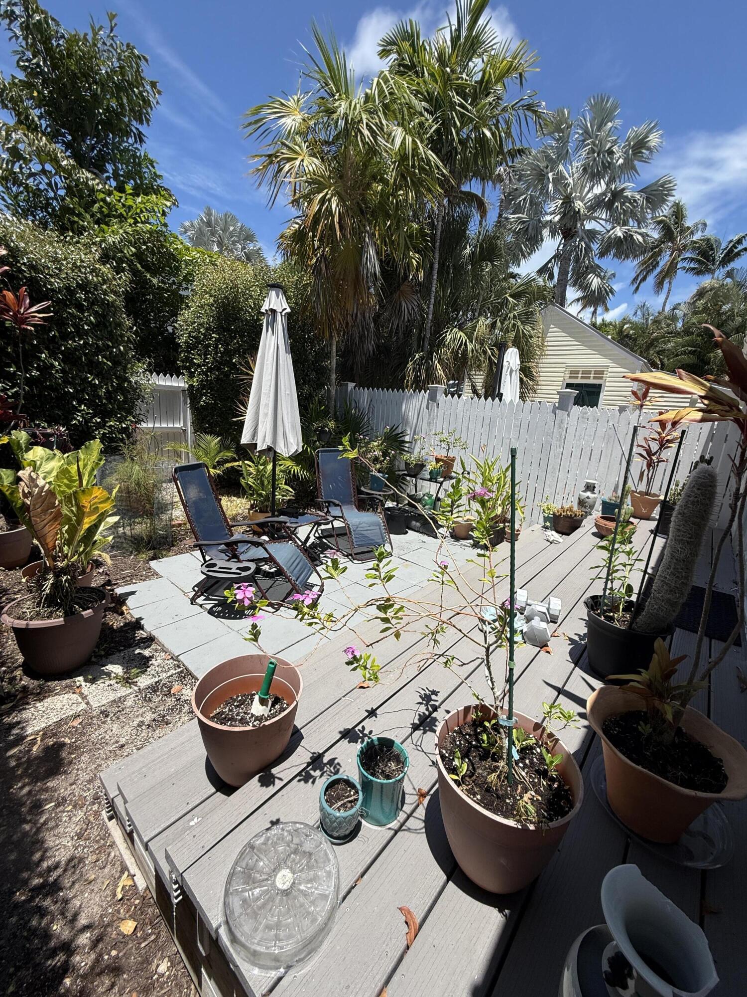 514 Margaret Street #2