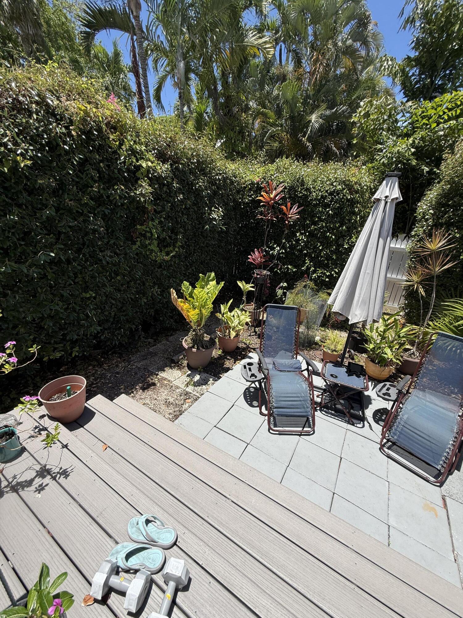 514 Margaret Street #2