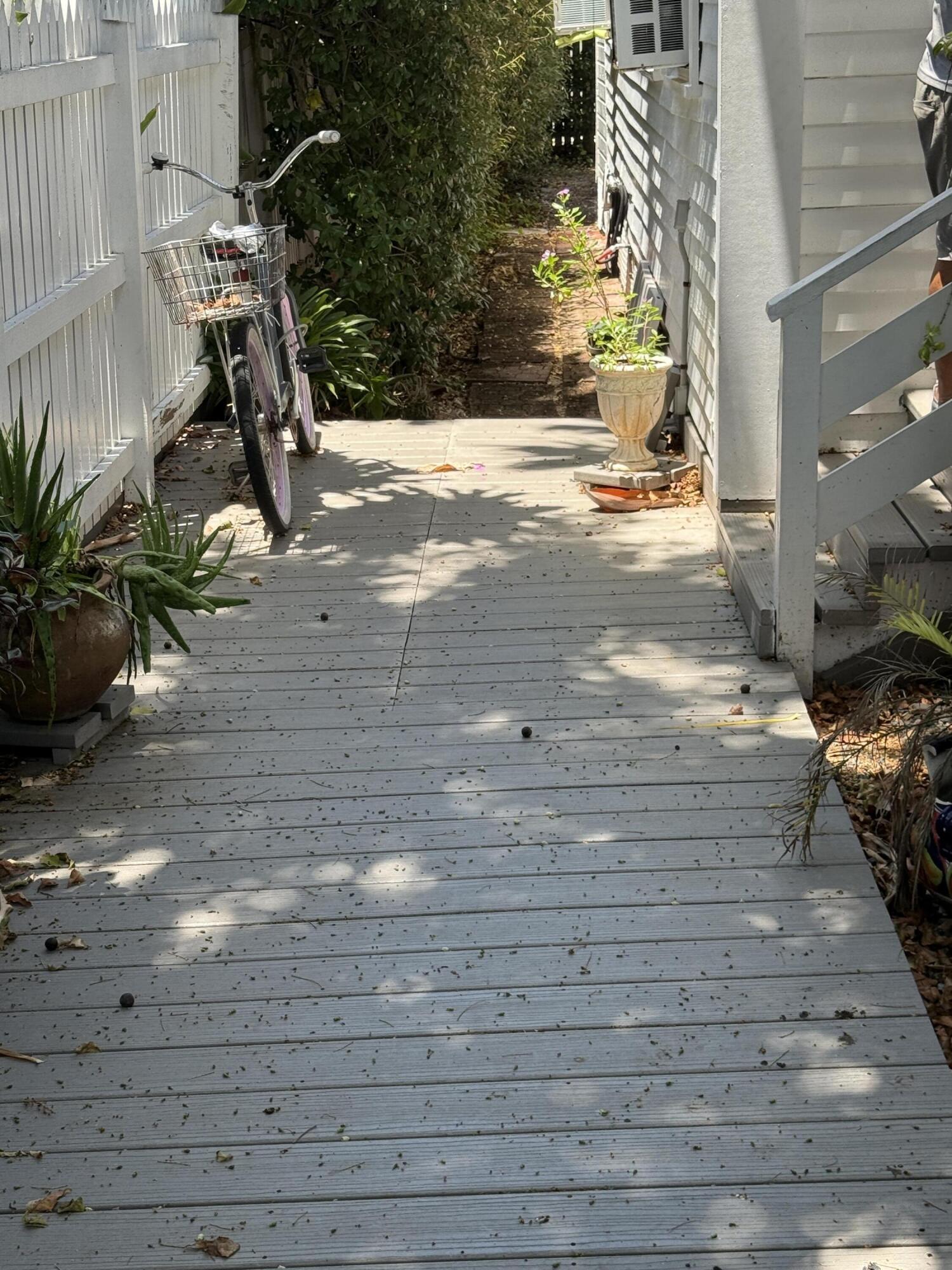 514 Margaret Street #2