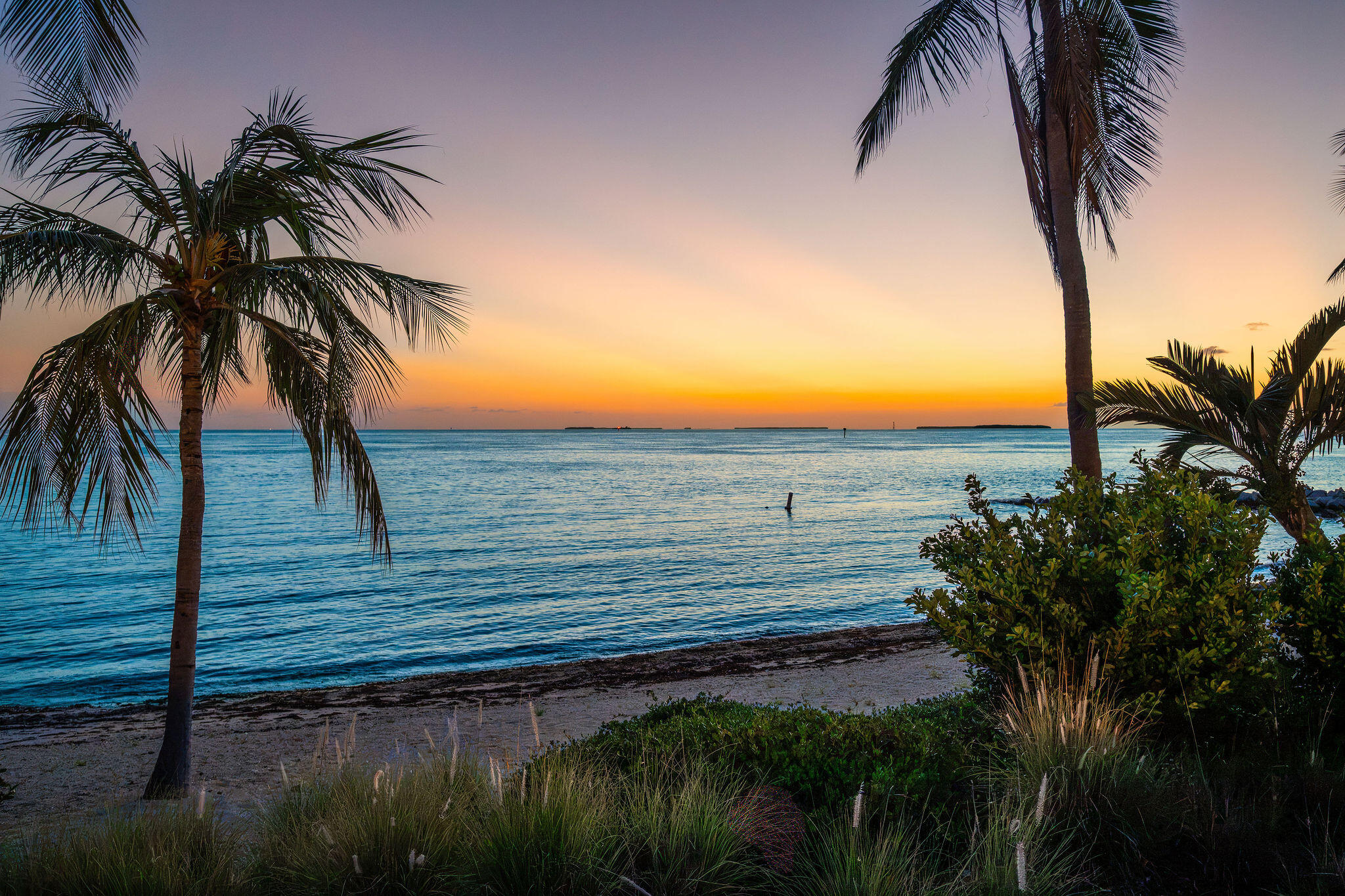 Sunset over the water framed by palms, with a sandy shoreline and tropical grasses.