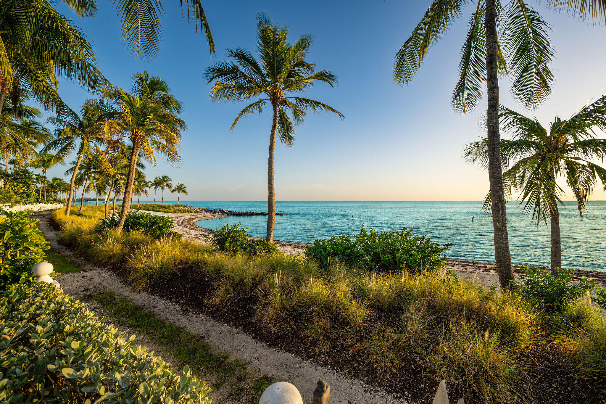 Palm-lined waterfront path curves beside landscaped grounds and calm ocean.