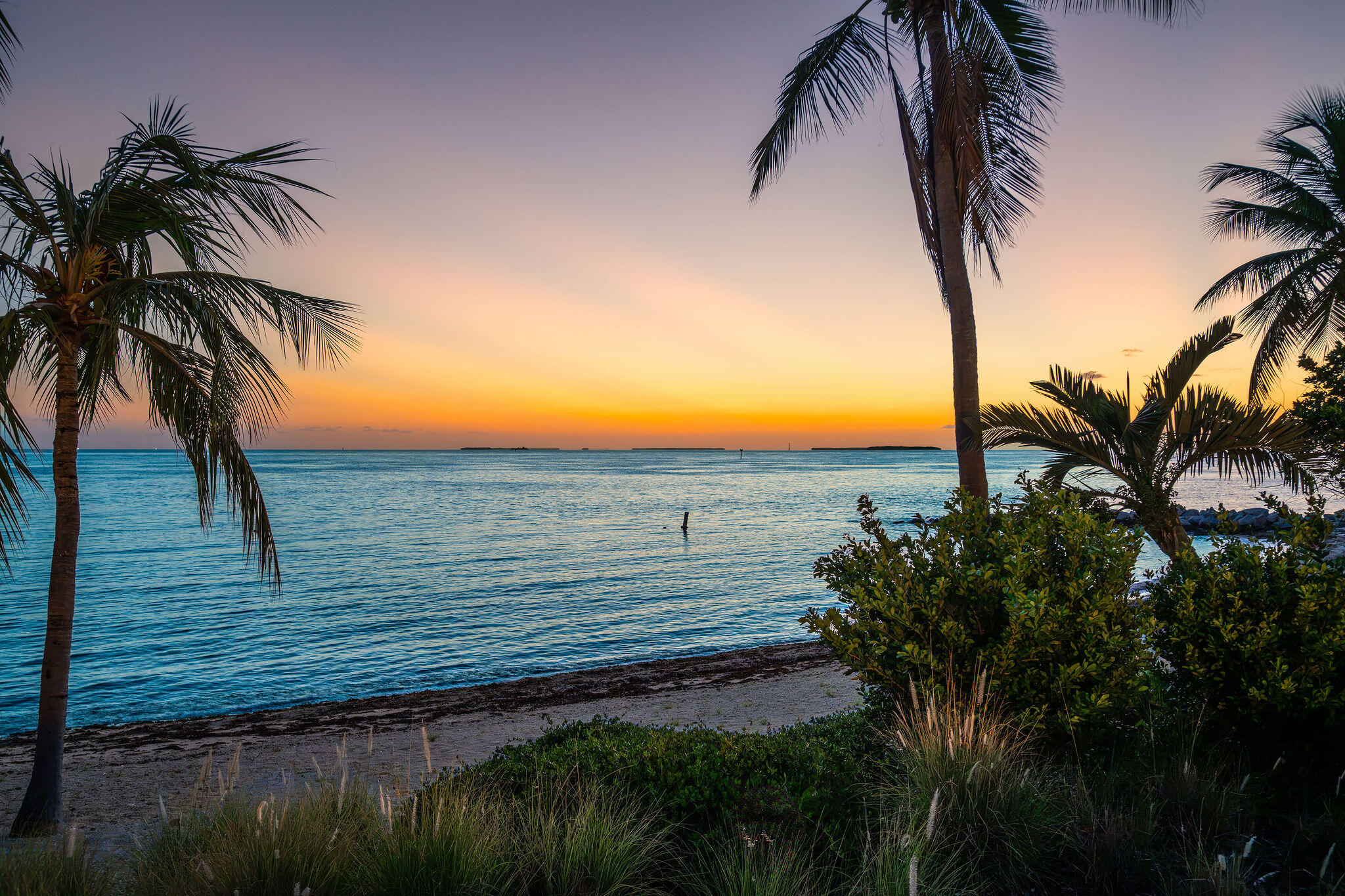 Waterfront at dusk, framed by palm trees, with calm water and a narrow sandy shore.