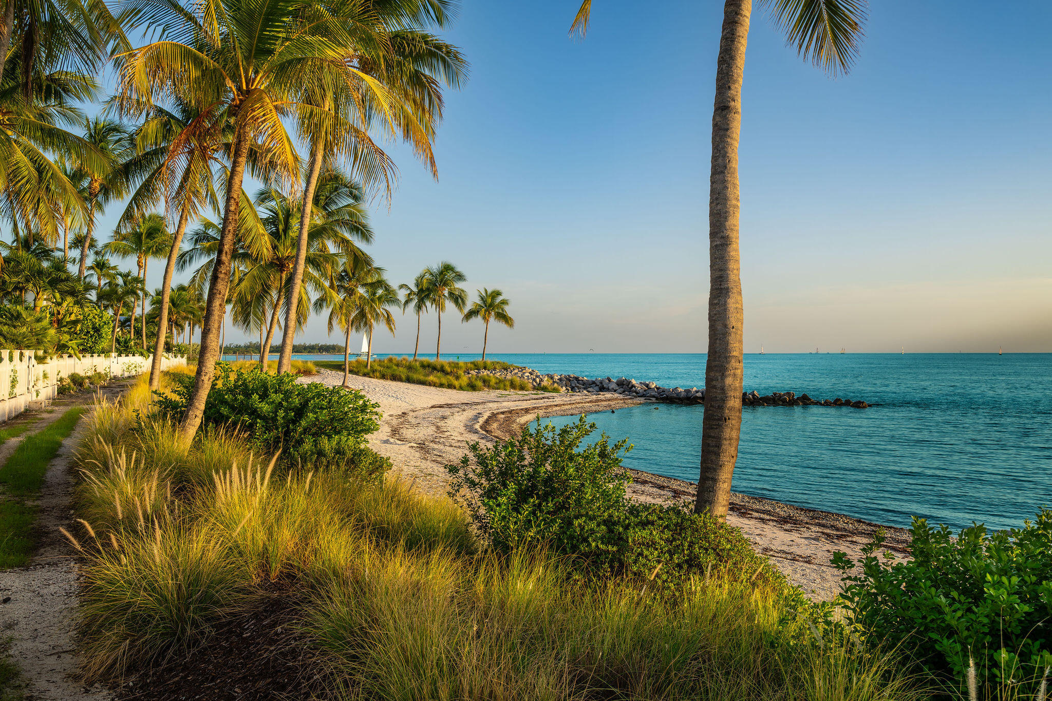 Palm-lined sandy shoreline beside calm turquoise water, with sailboats on the horizon.
