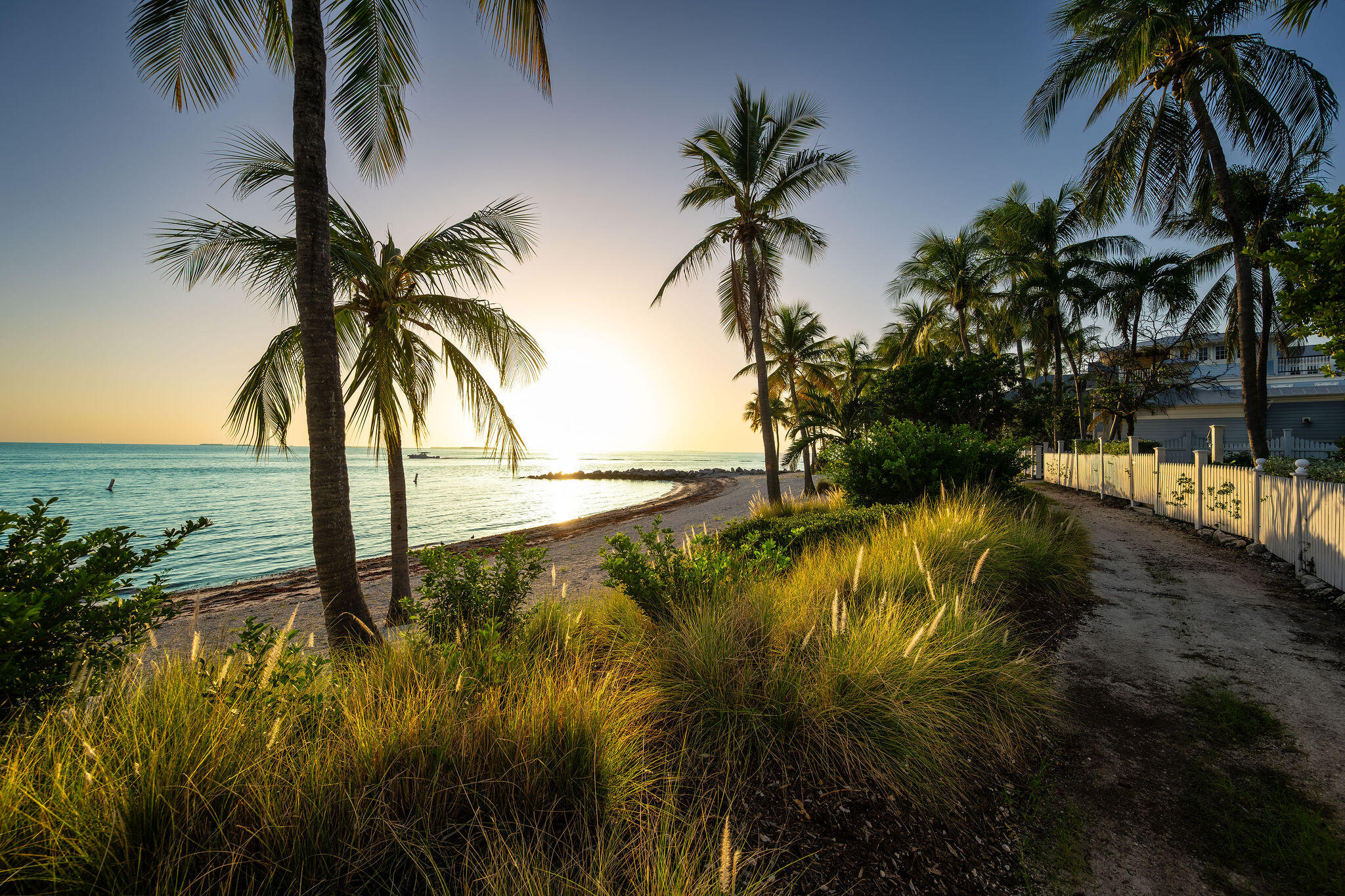 Tropical beachfront with palm trees, coastal grasses, calm water, and a sandy path beside a white fence.