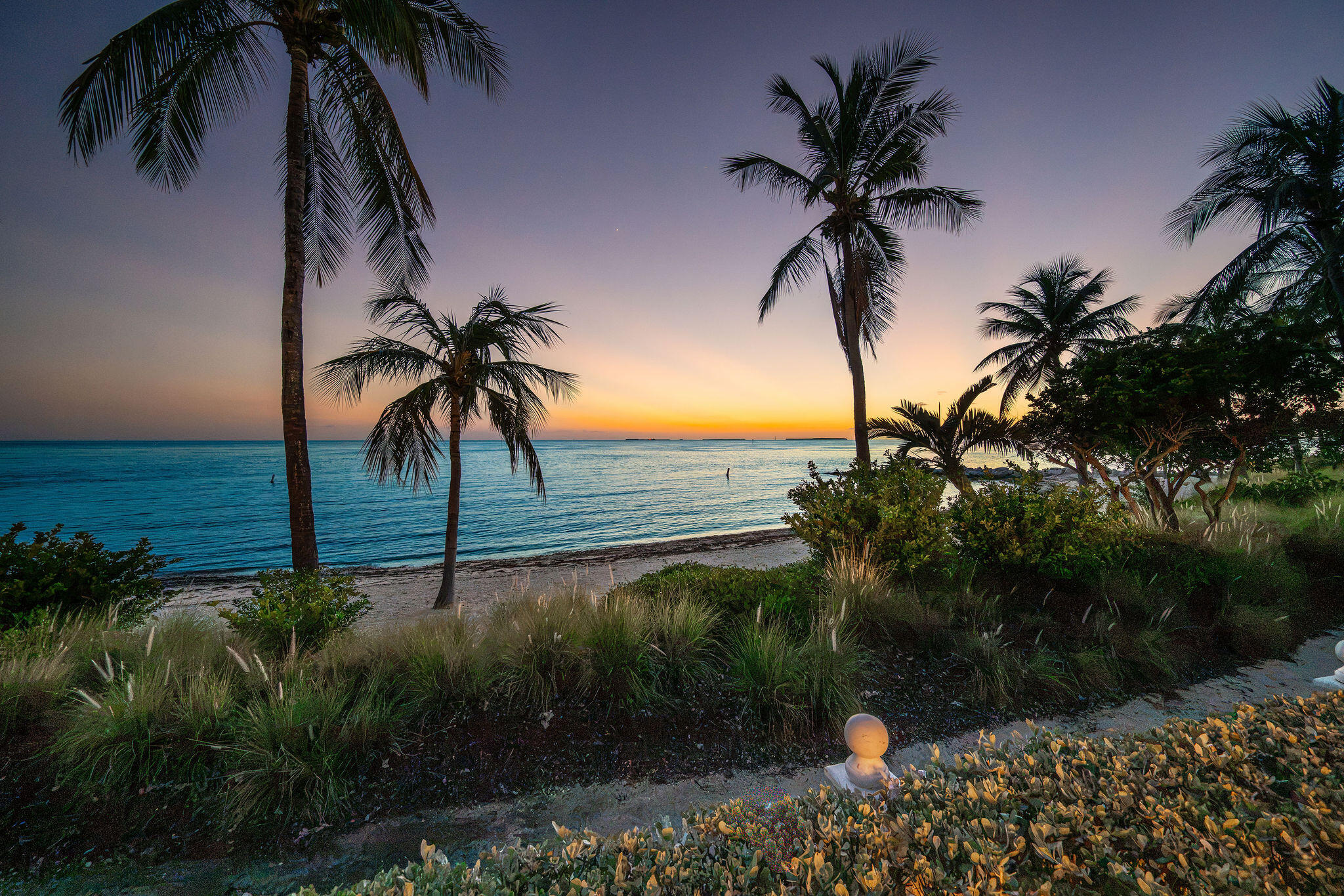 Palm-framed beachfront and calm sea at dusk, with tropical landscaping in the foreground.