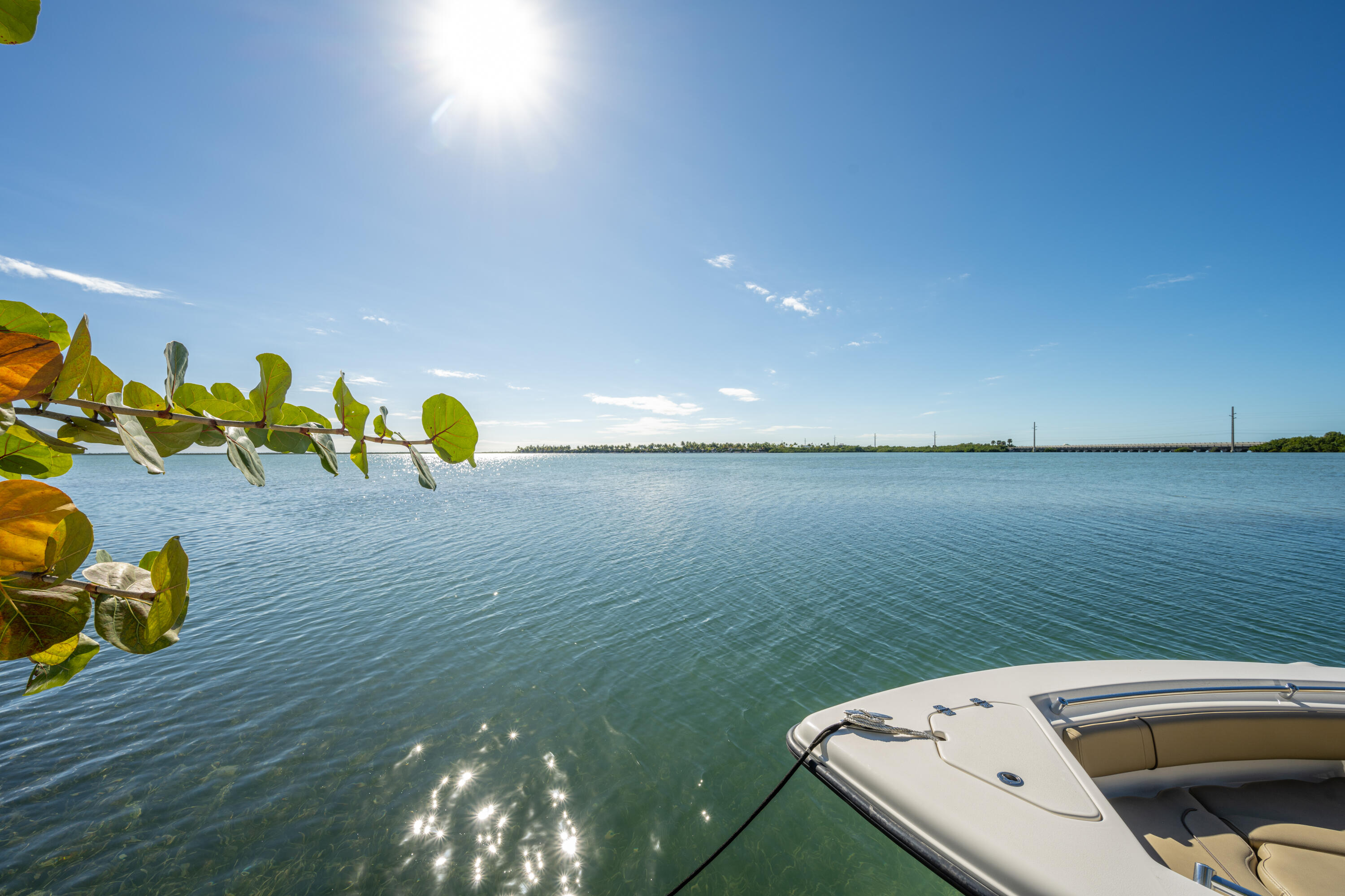 Waterfront view across sunlit water, with leafy branches and a boat bow in the foreground.