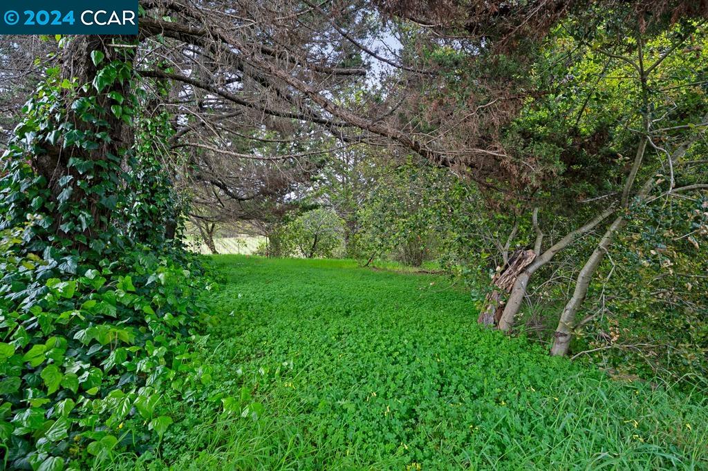 5900 Guerneville Rd