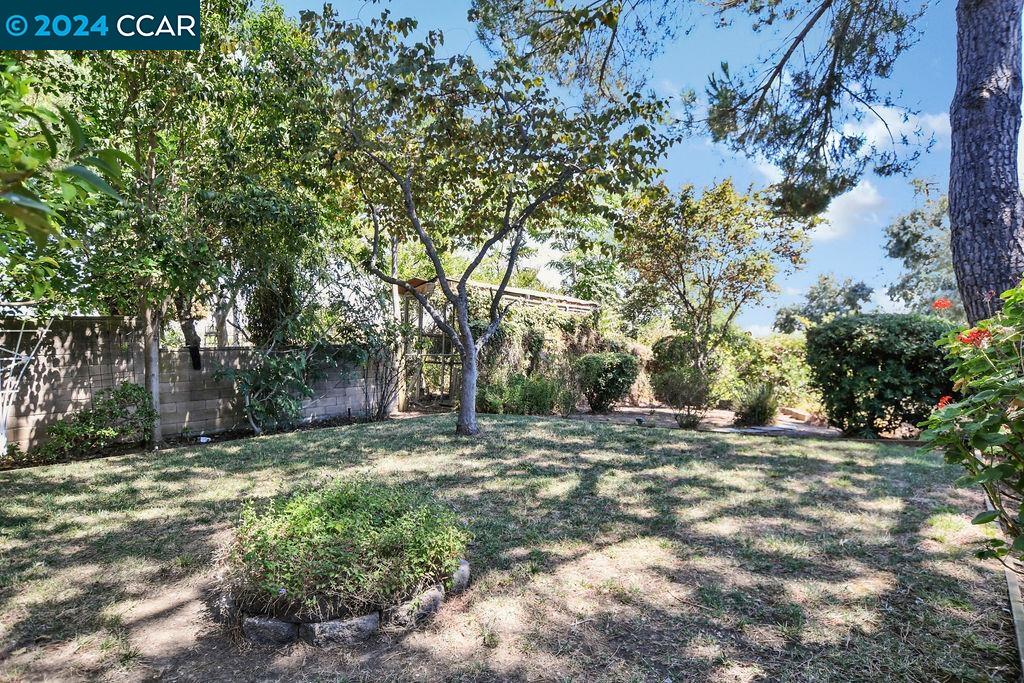 187 Escondido Drive