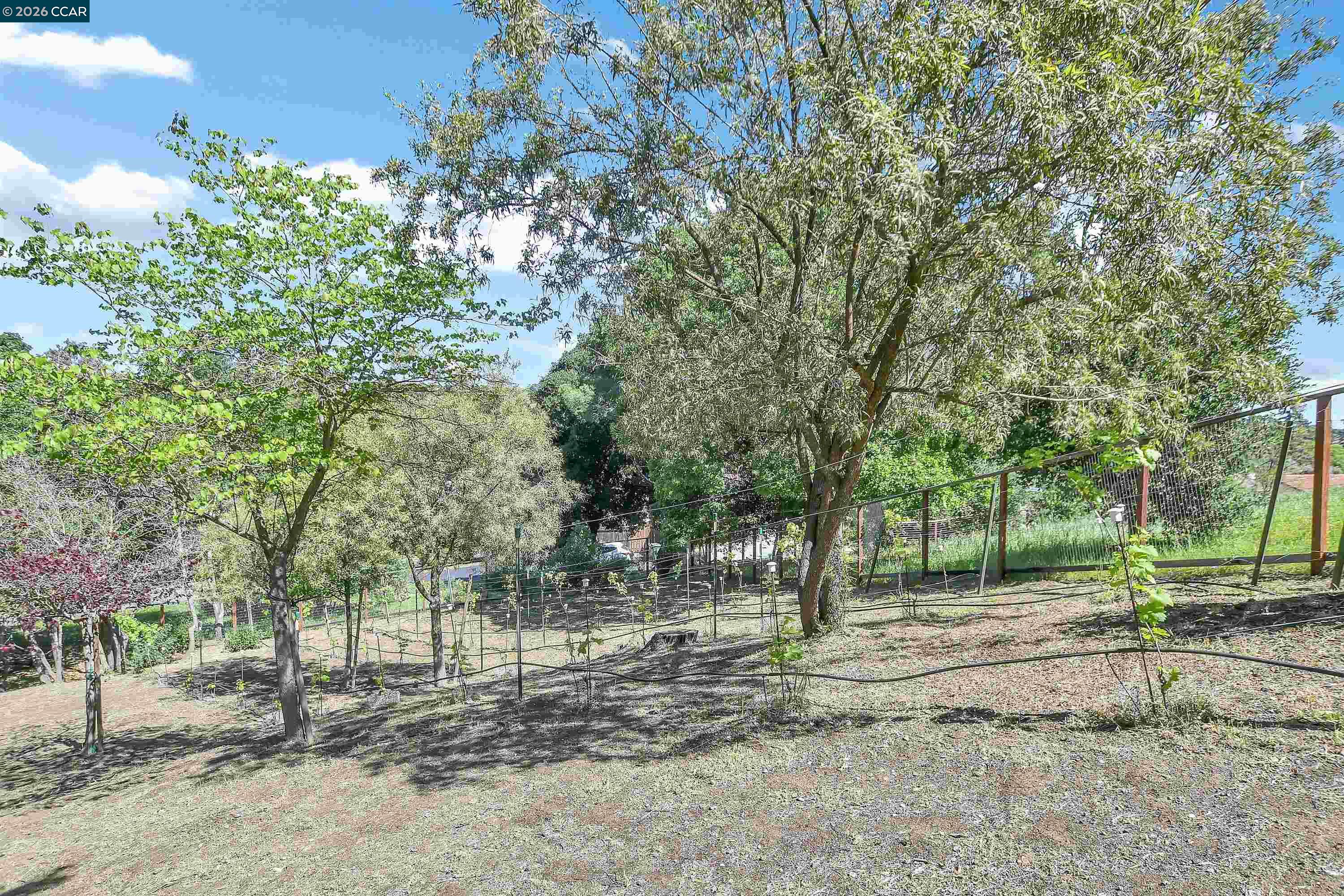 975 Calle Verde