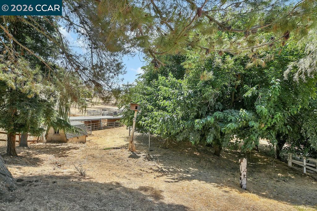 4161 Leon Dr.