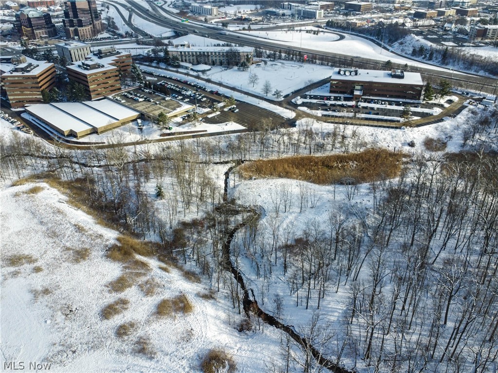 Acorn Drive