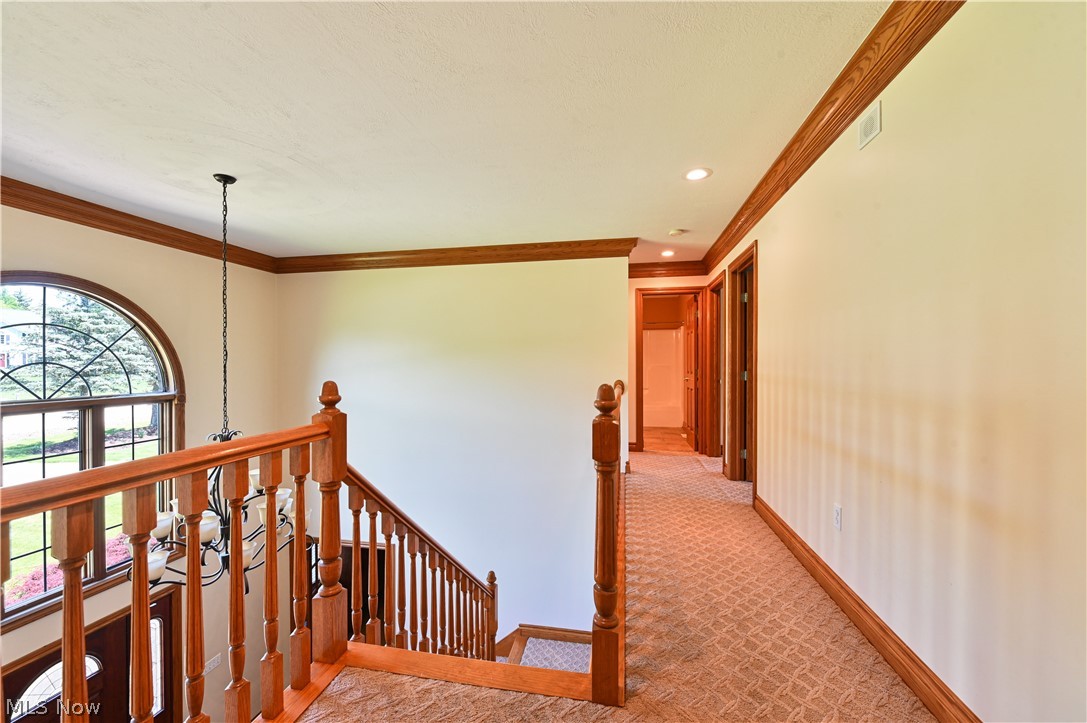 3226 Hardwood Hollow