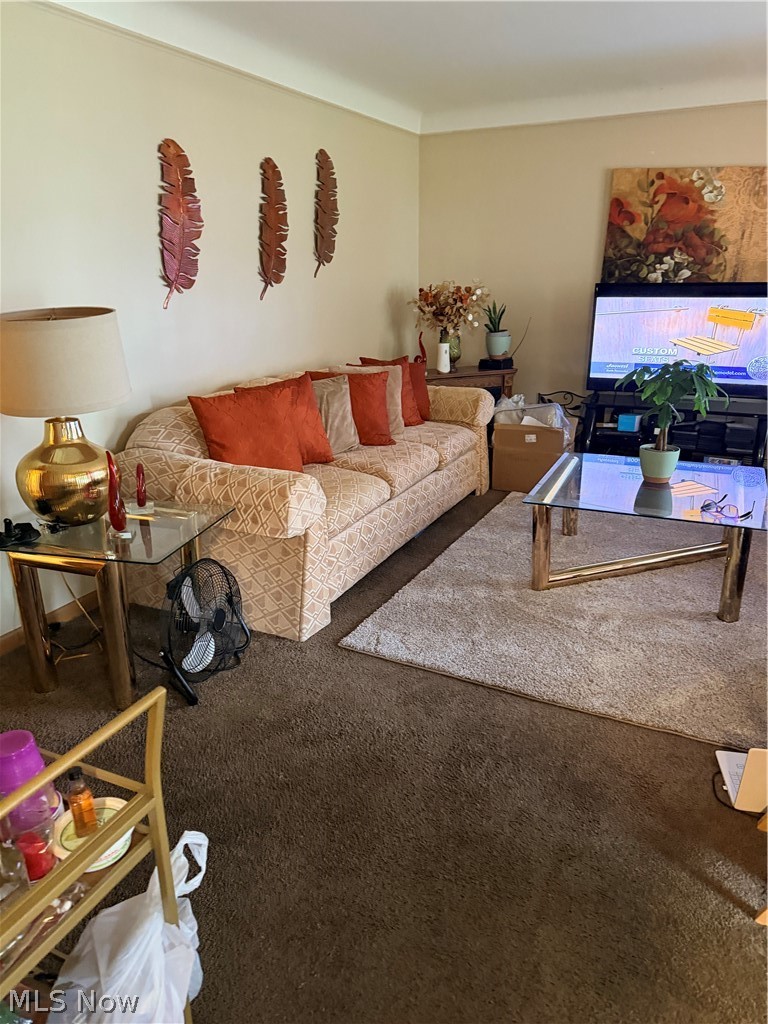Living room with a patterned sofa, rust-colored cushions, and a glass coffee table.