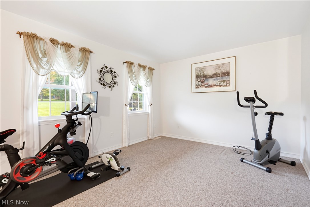 Home exercise room with a Peloton bike, second stationary bike, and windows overlooking the lawn.