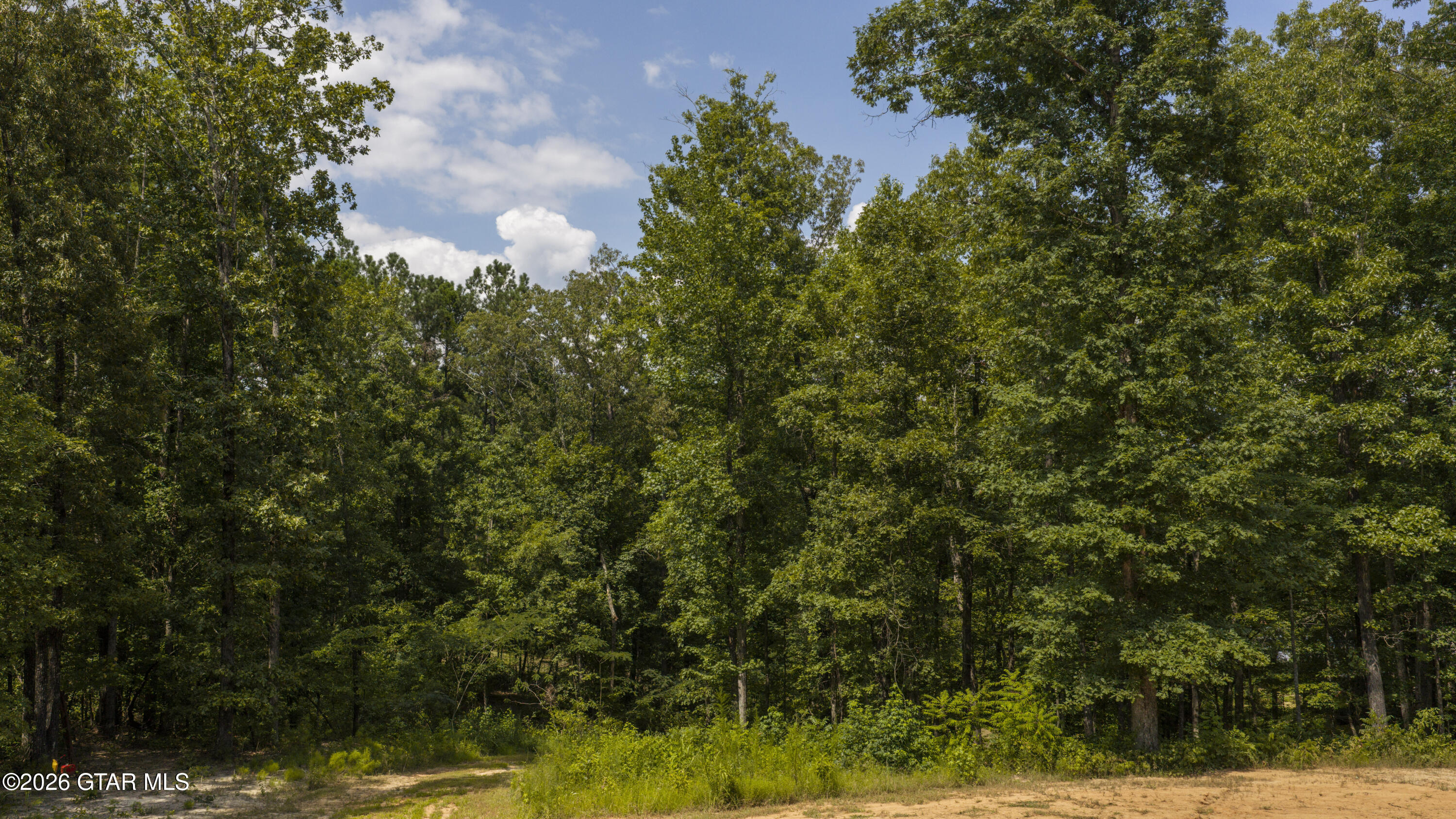 305 Edgewood Drive