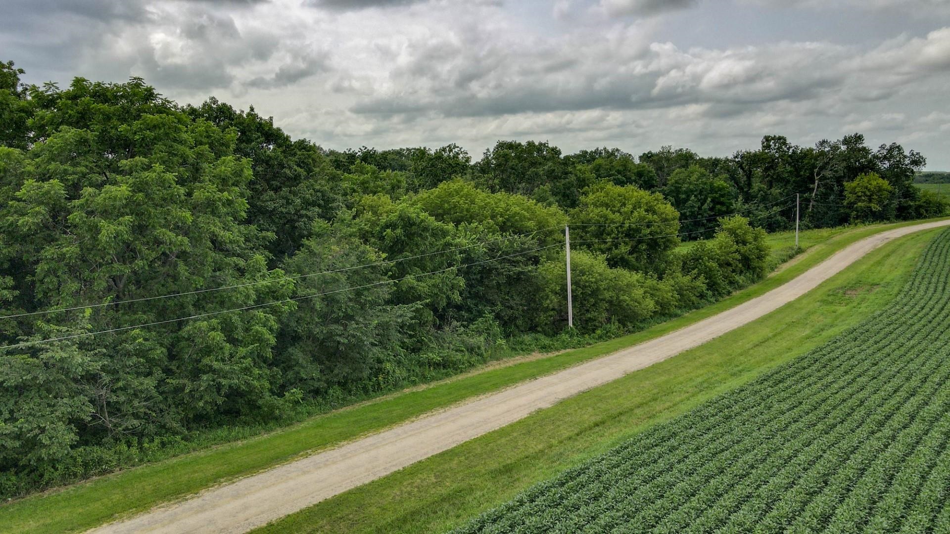 Lot 2 CSM 167 Cain Road