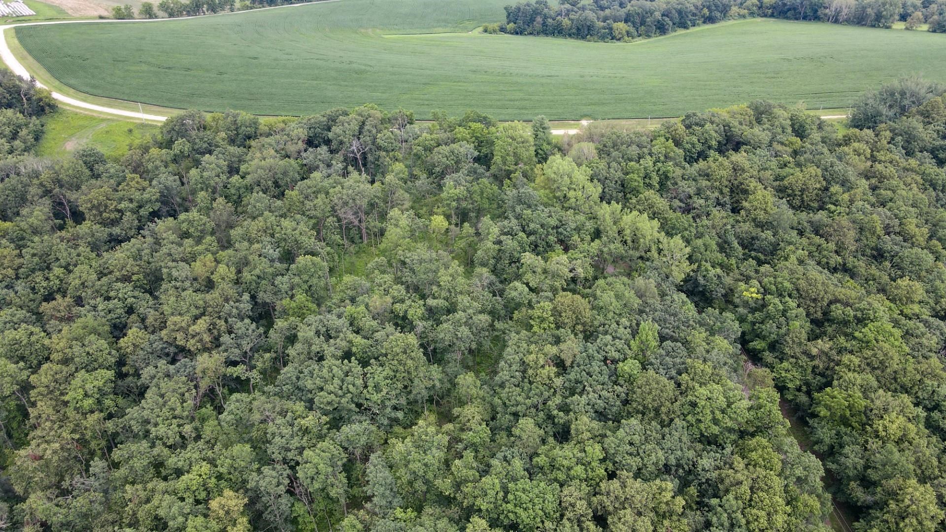 Lot 2 CSM 167 Cain Road