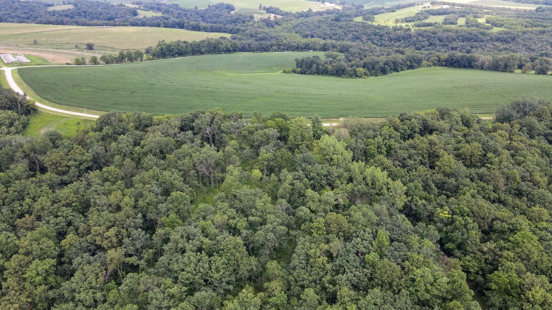 Lot 2 CSM 167 Cain Road