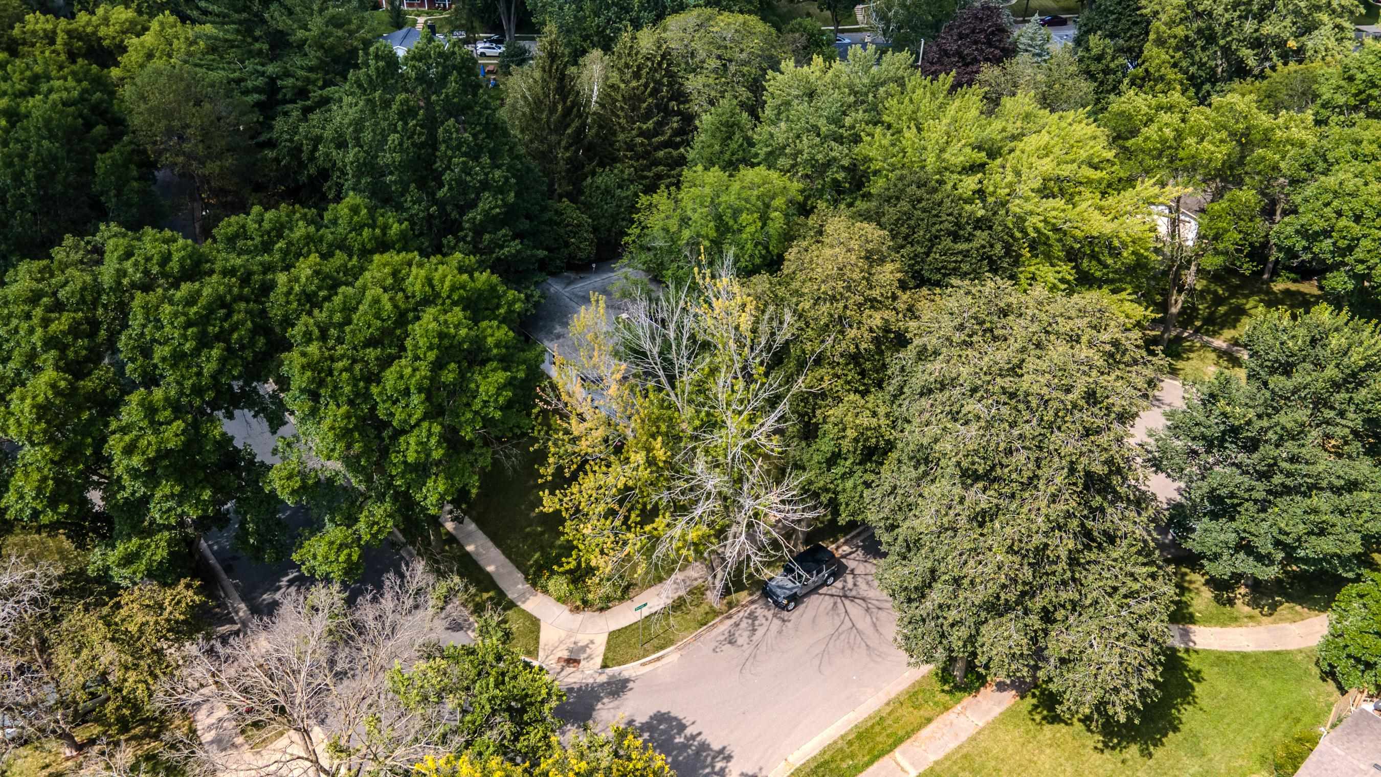 6210 Devon Court