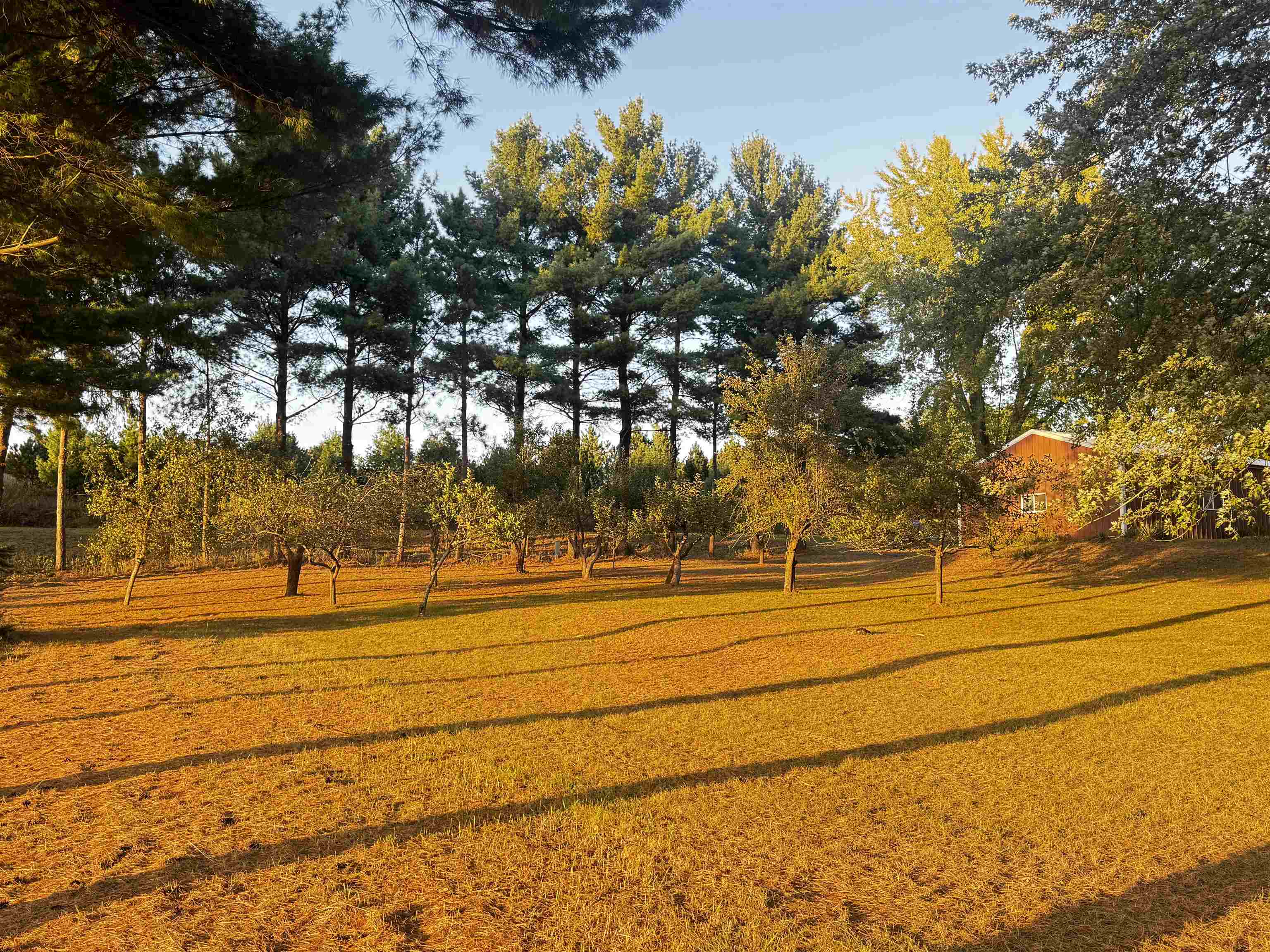 W5409 Grouse Drive