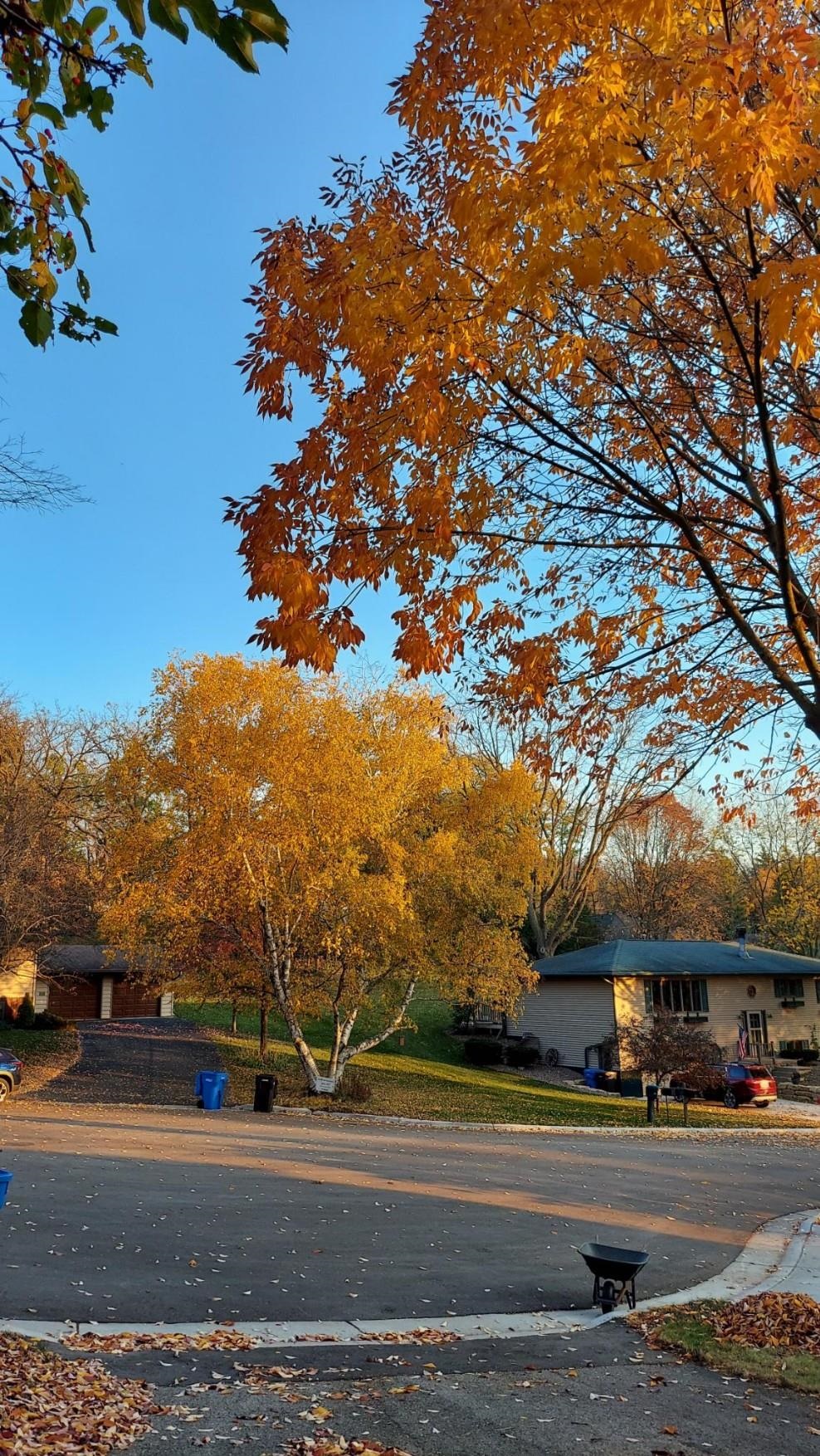 206 Beth Circle
