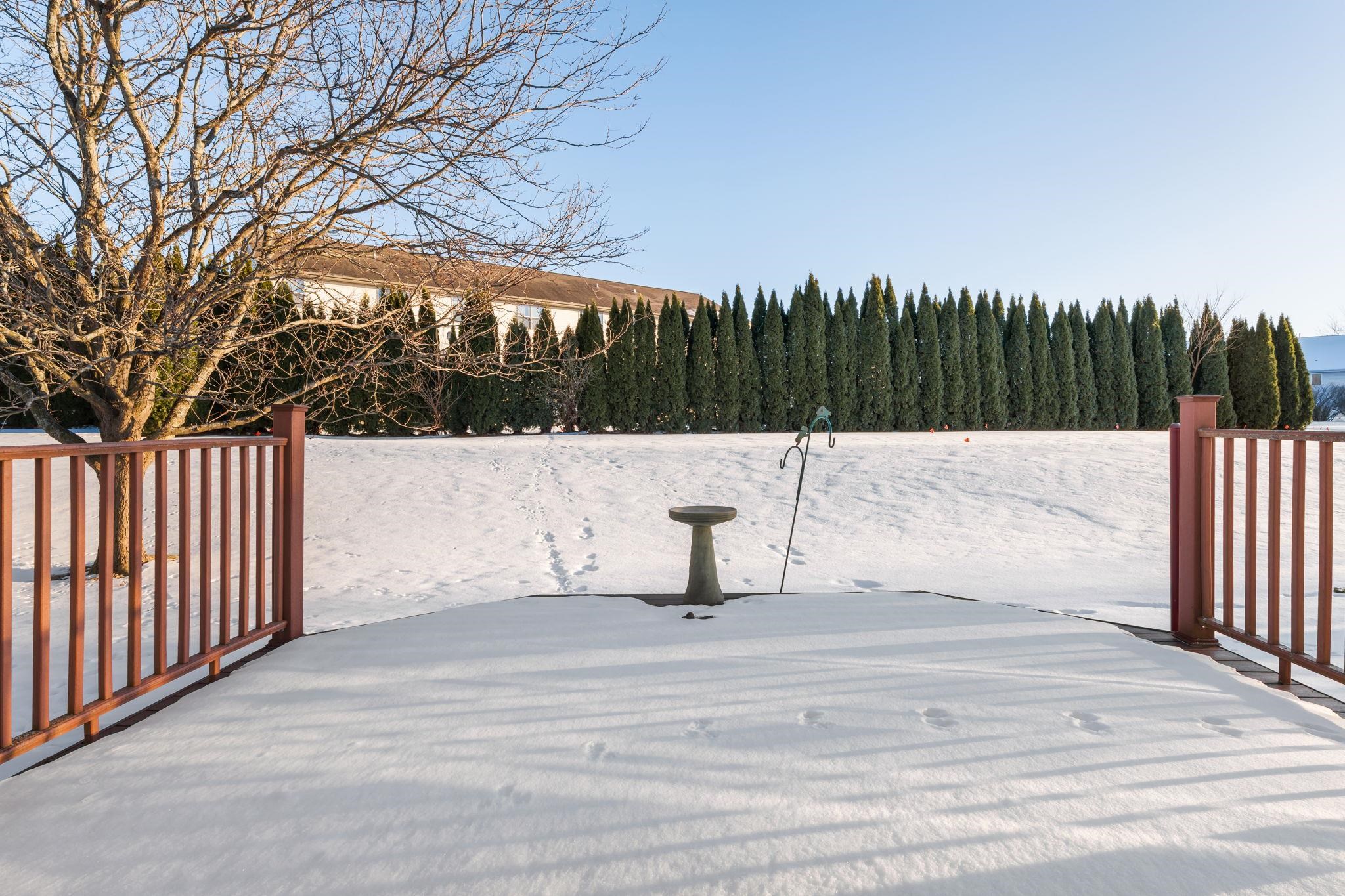 3155 Selkirk Drive