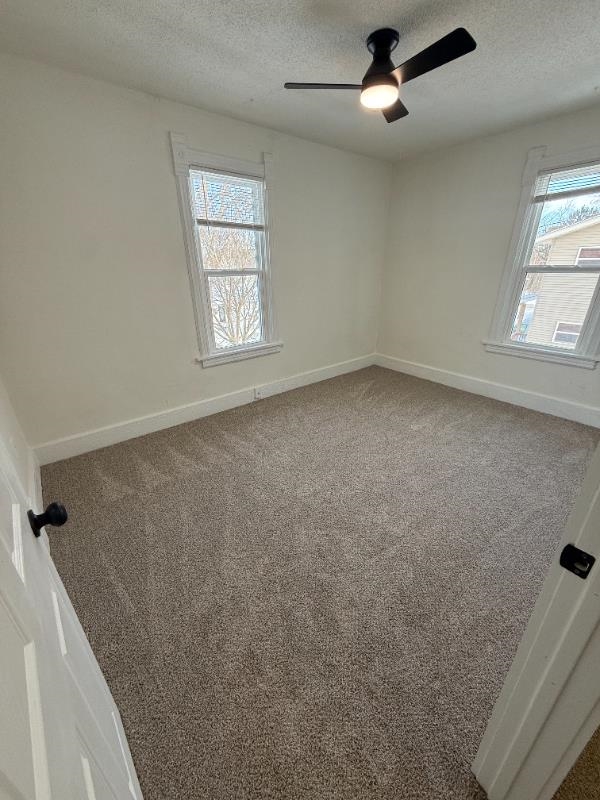 1101 Stoughton Avenue