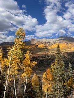 110 Lawson Overlook