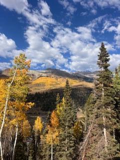 110 Lawson Overlook