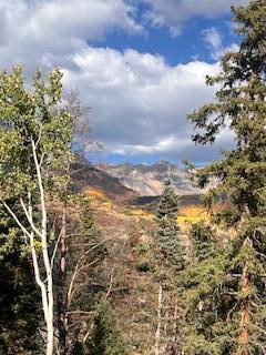 110 Lawson Overlook
