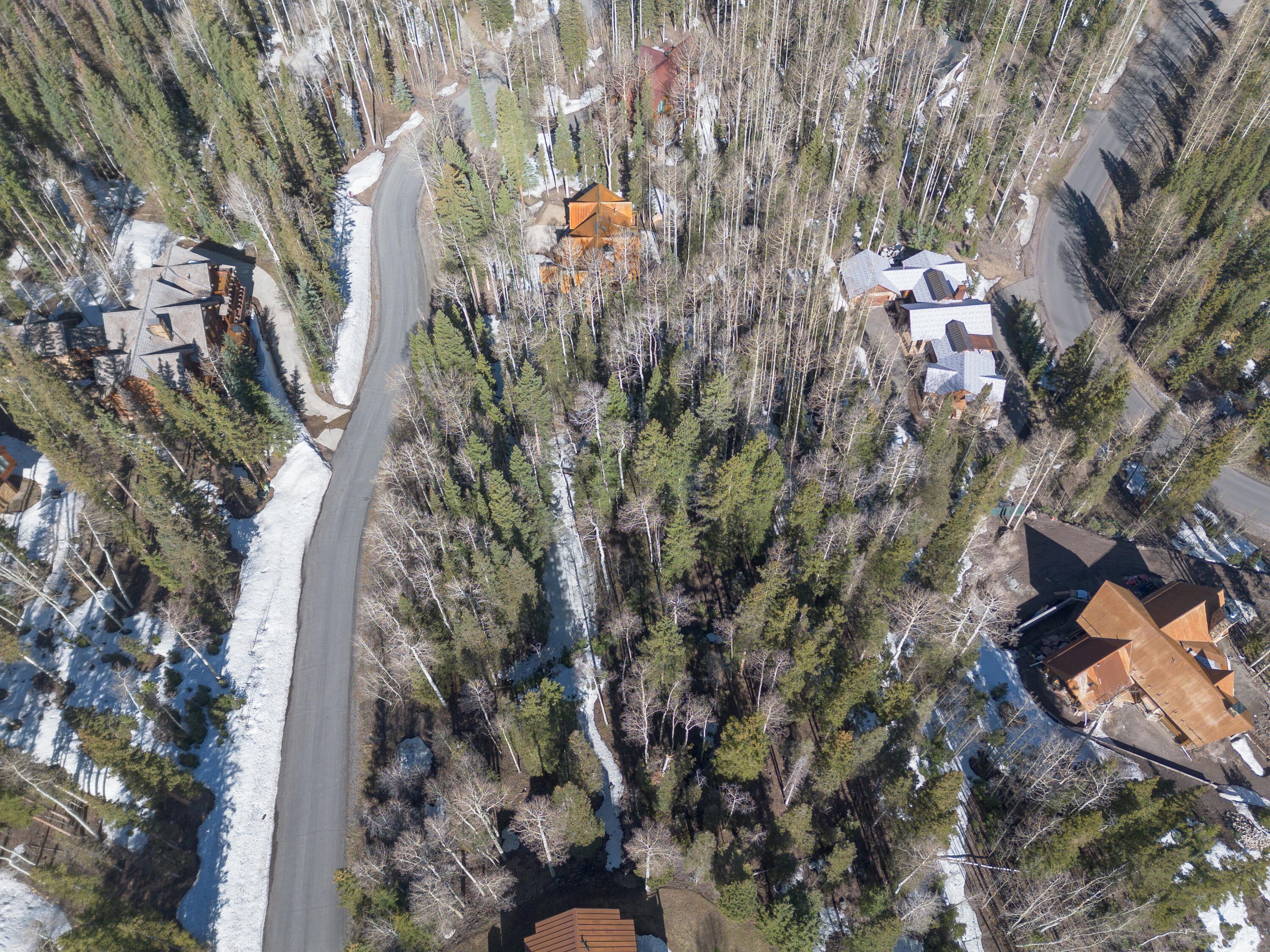 1 Palmyra Drive