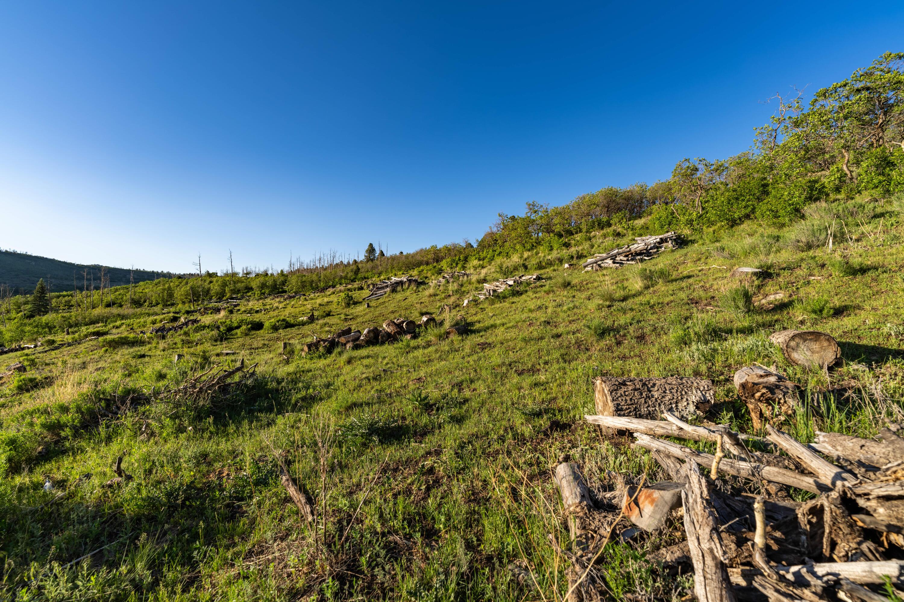 1250 McKenzie Springs Rd Road