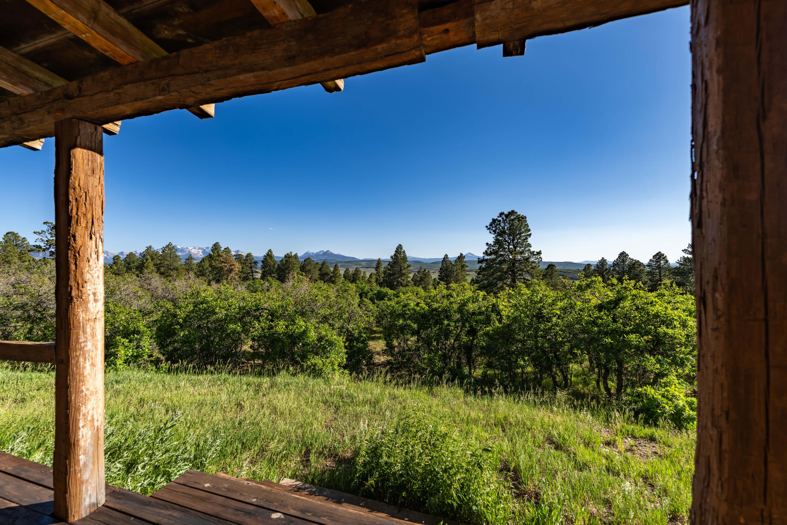 1250 McKenzie Springs Rd Road
