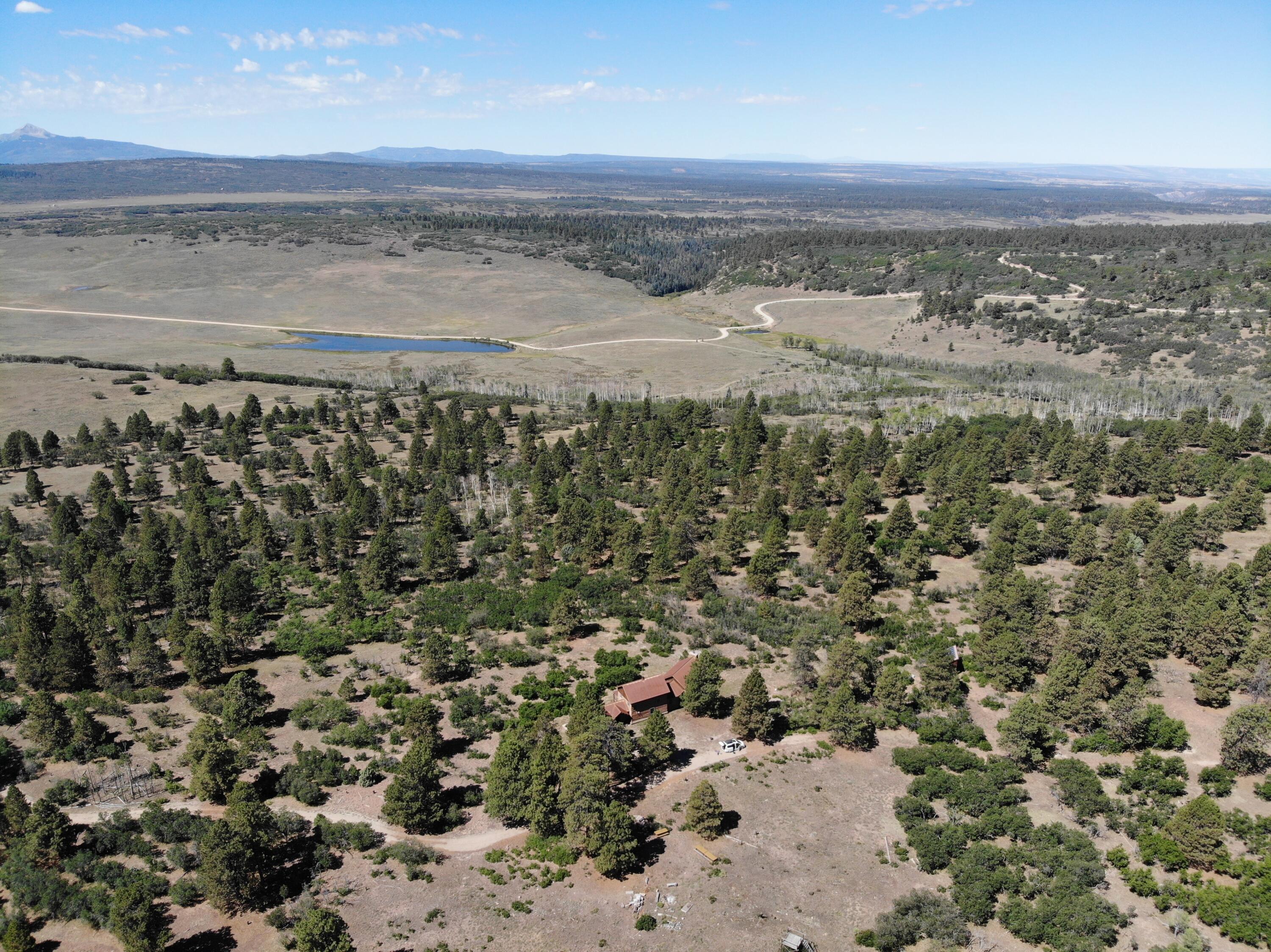 1250 McKenzie Springs Rd Road