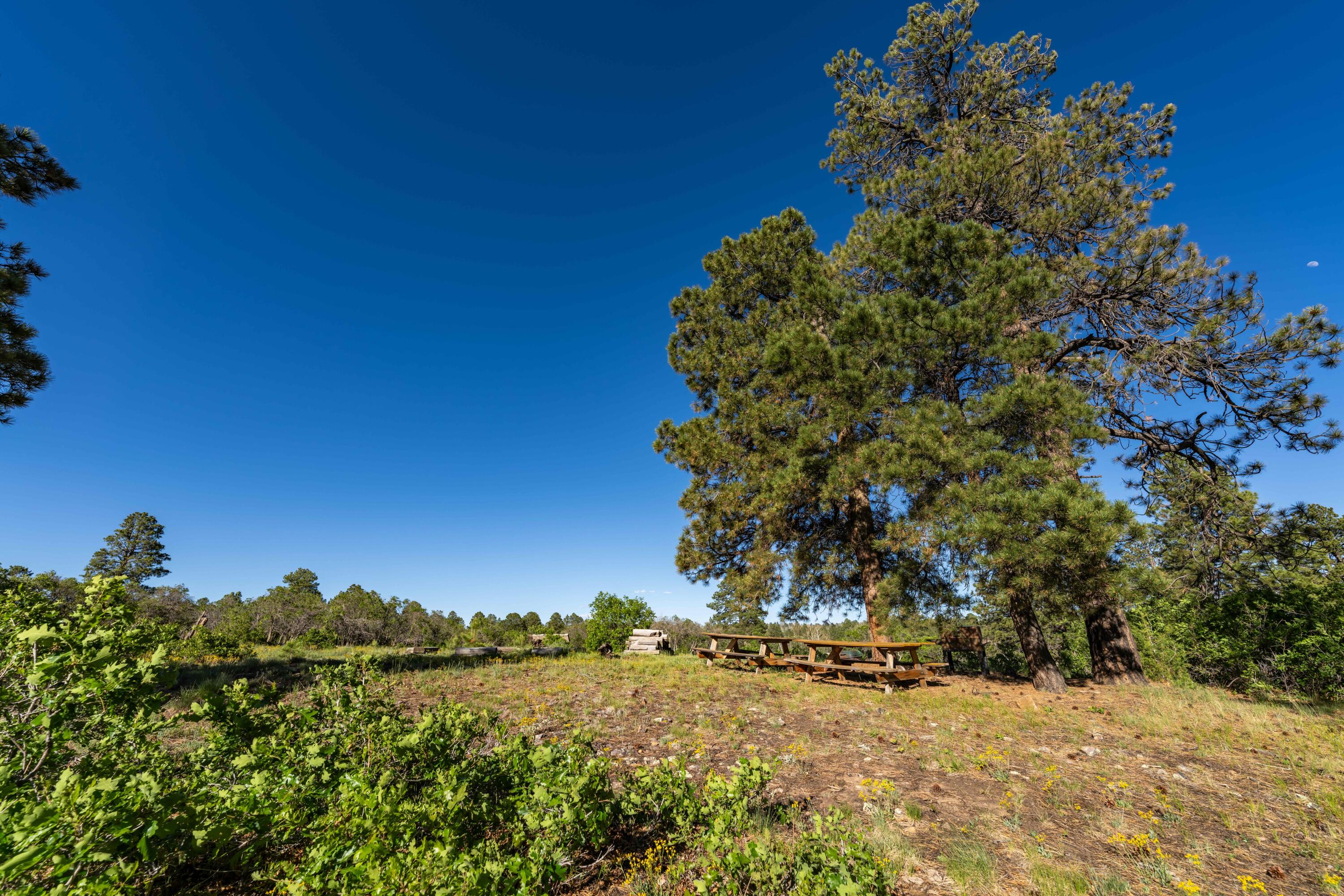 1250 McKenzie Springs Rd Road