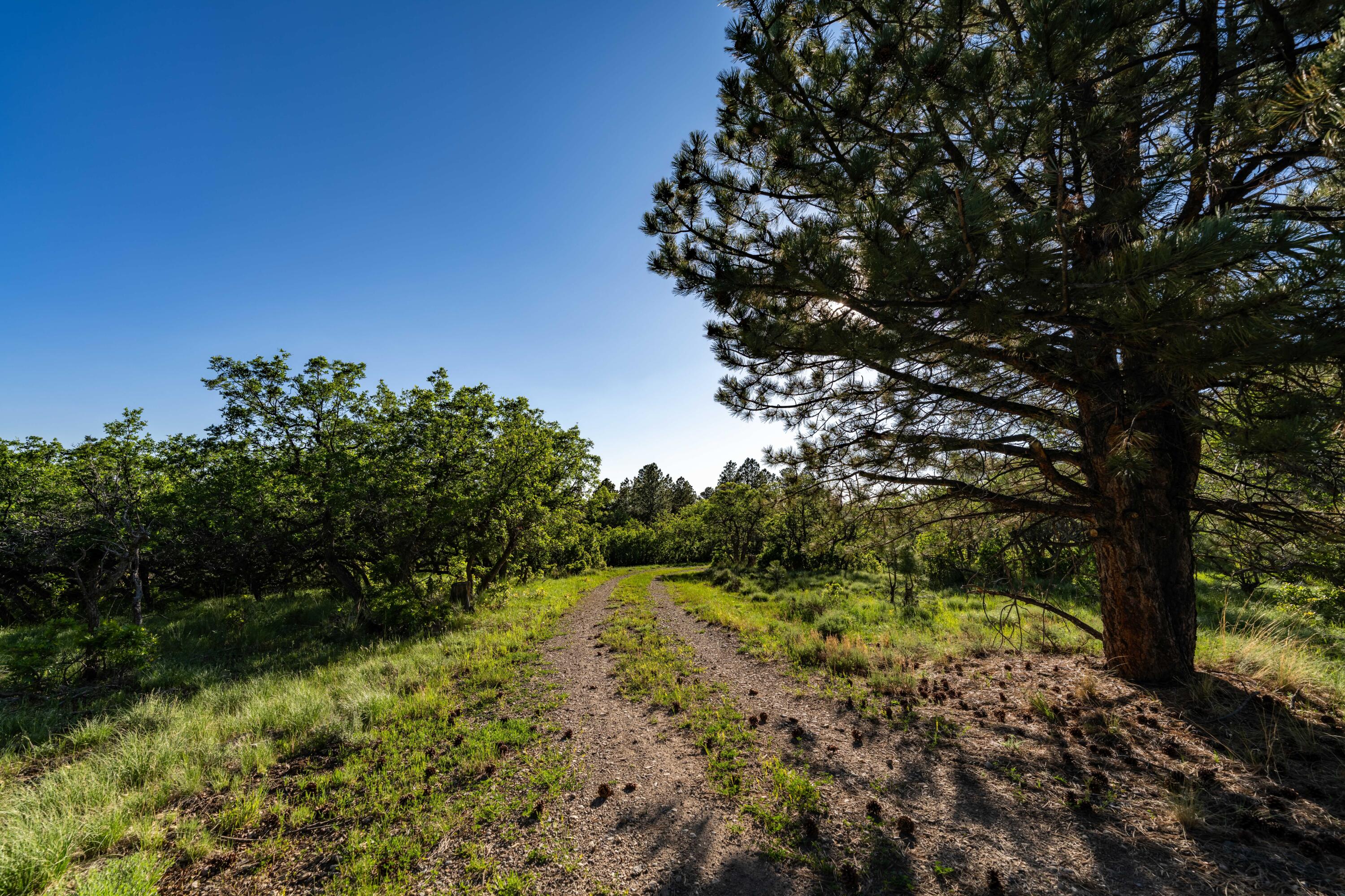 1250 McKenzie Springs Rd Road