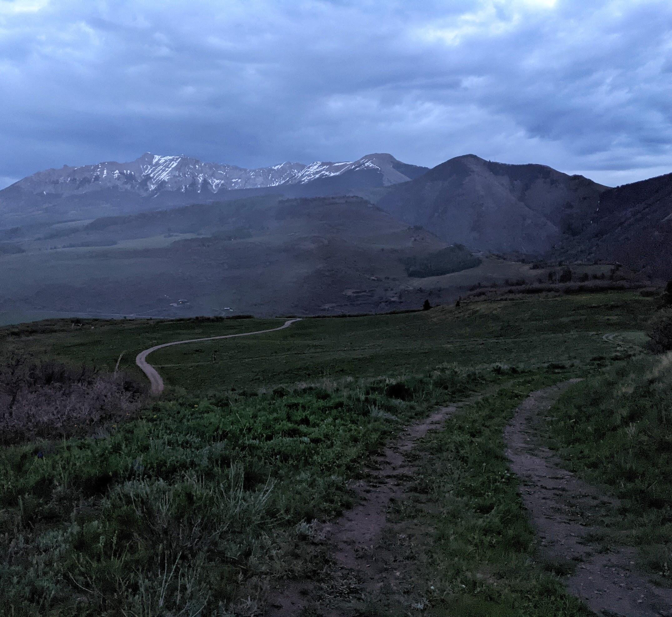 TBD Flying Husky Trail