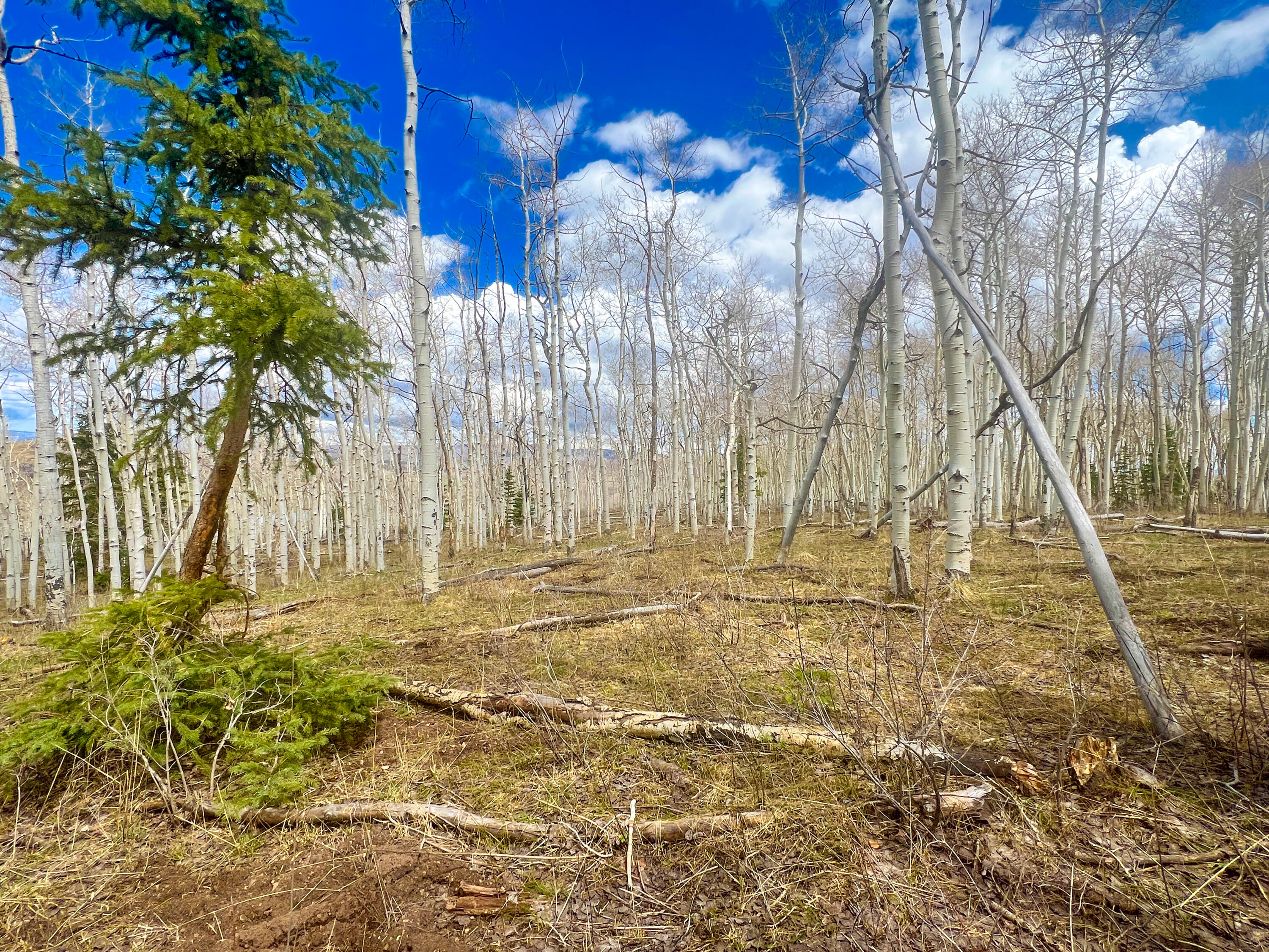 TBD San Juan Vista Road