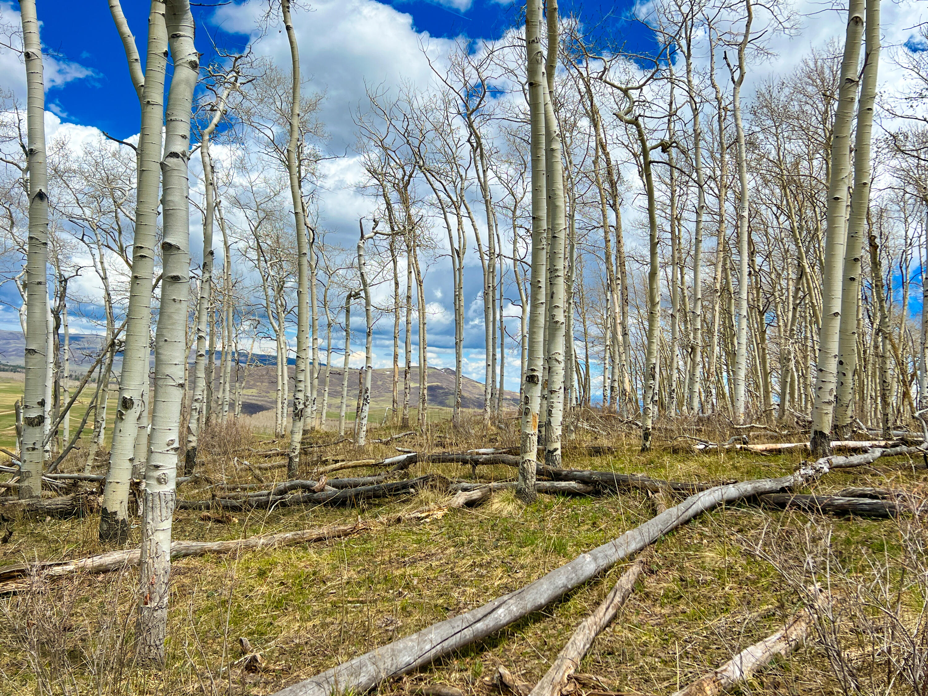 TBD San Juan Vista Road