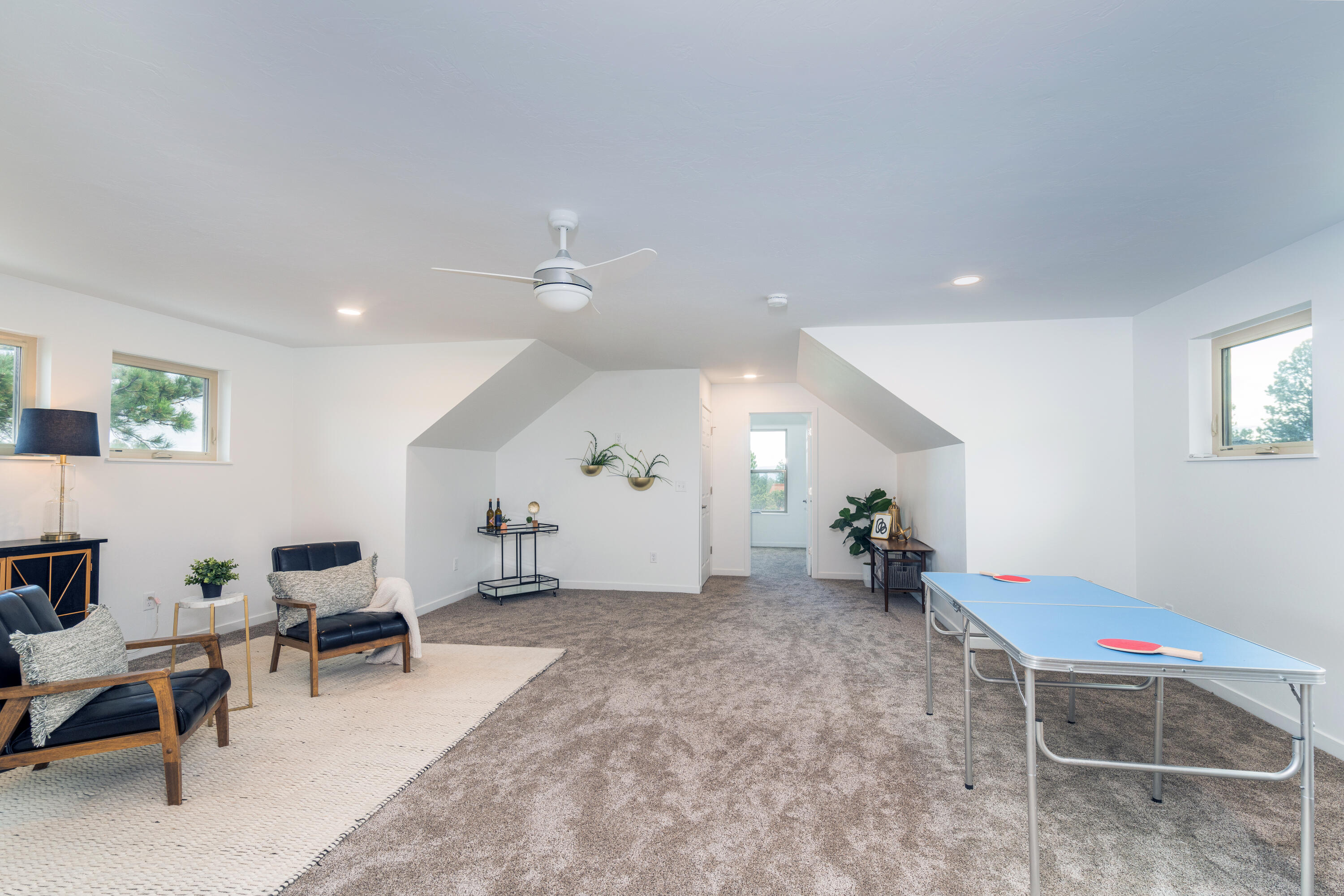 41 Coyote Court