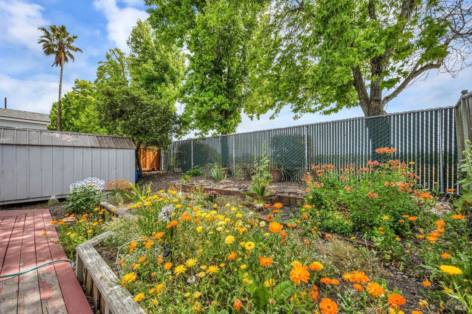 300 Stony Point Rd #423