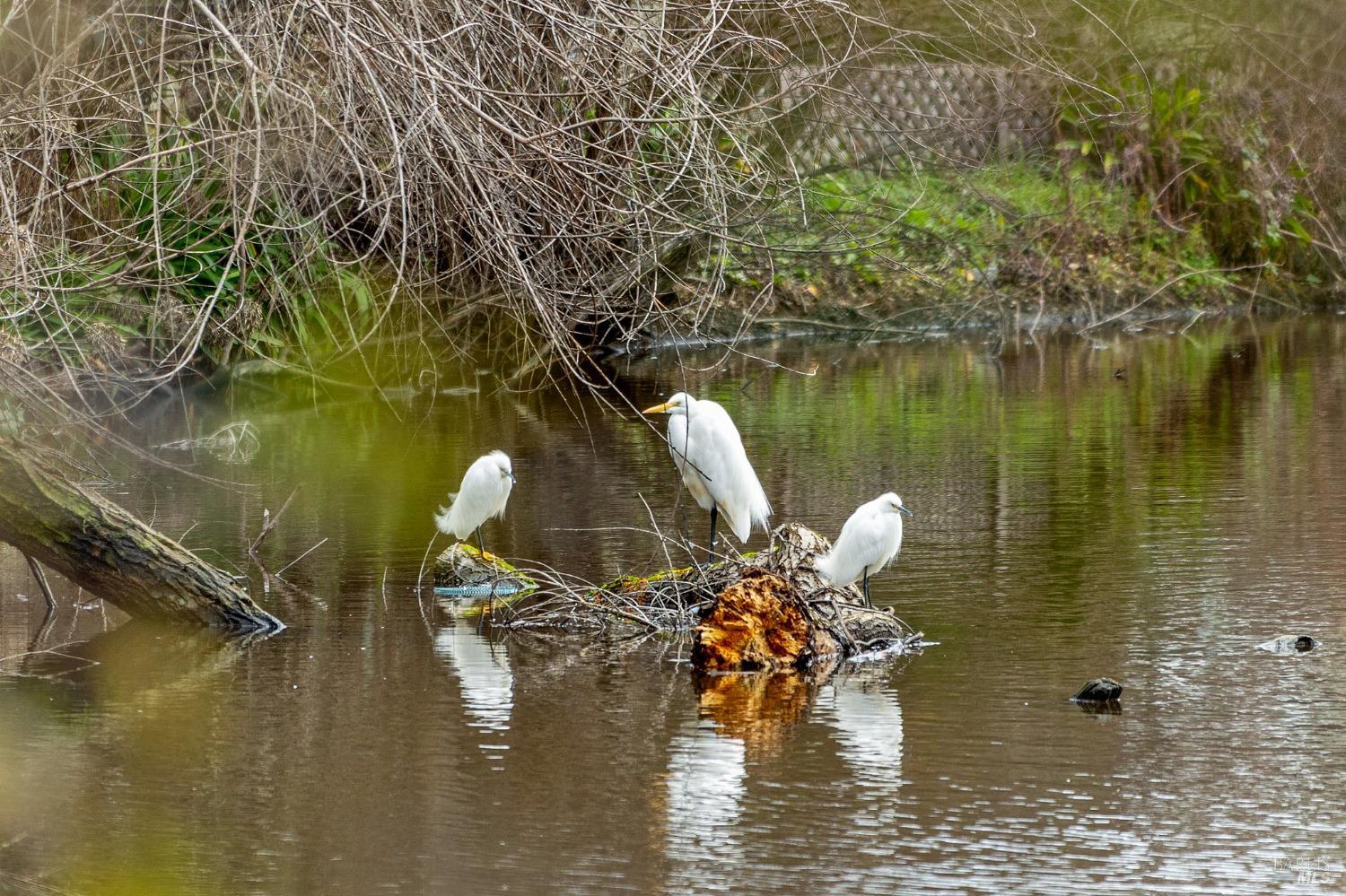 300 Stony Point Rd #508