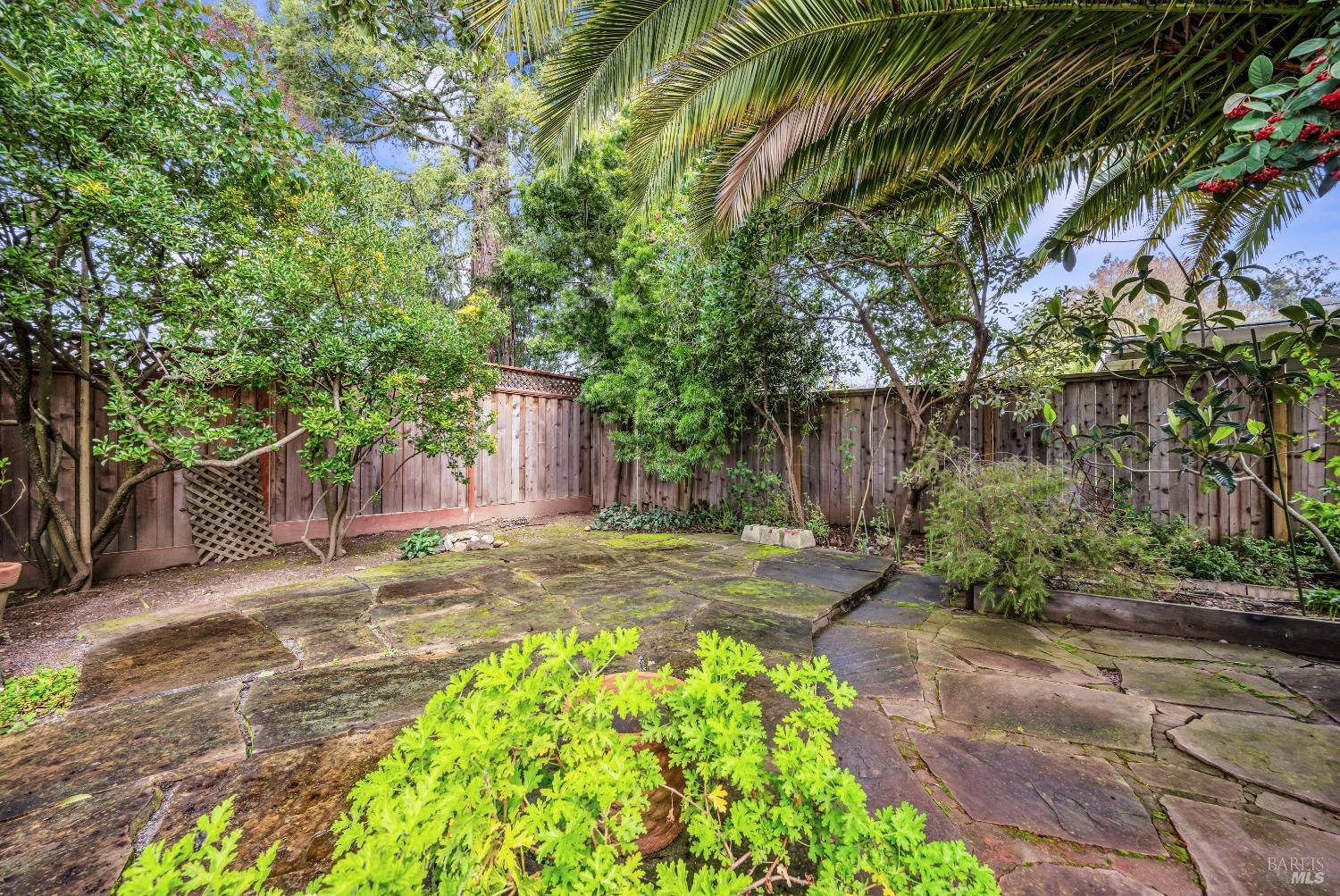 1007 Mountain View Ave