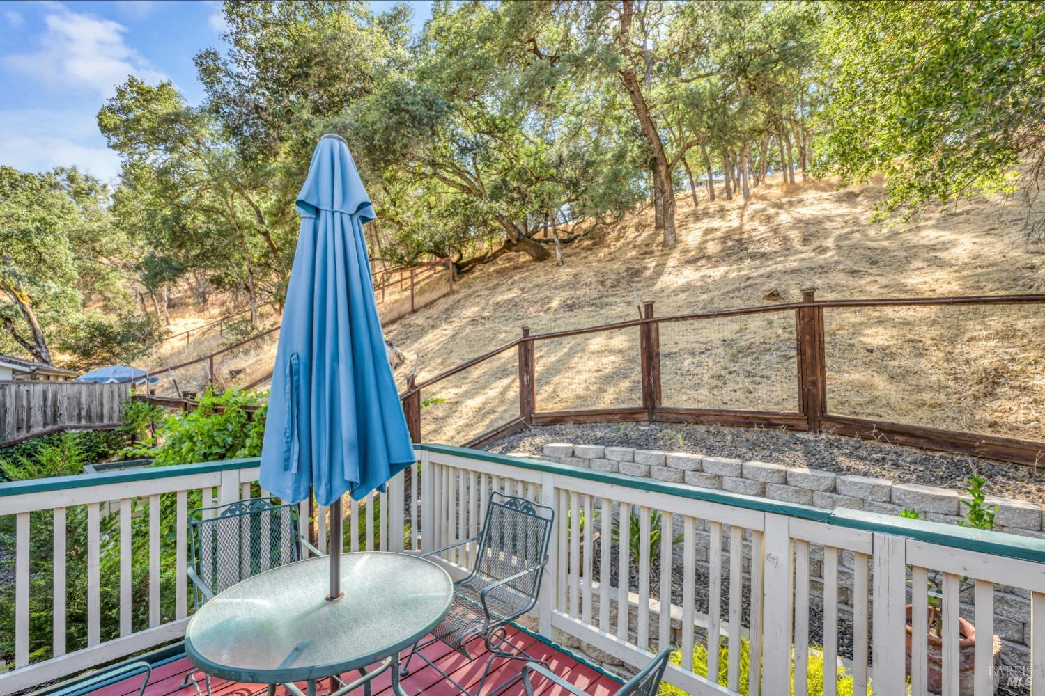 1029 Arroyo Linda Ct