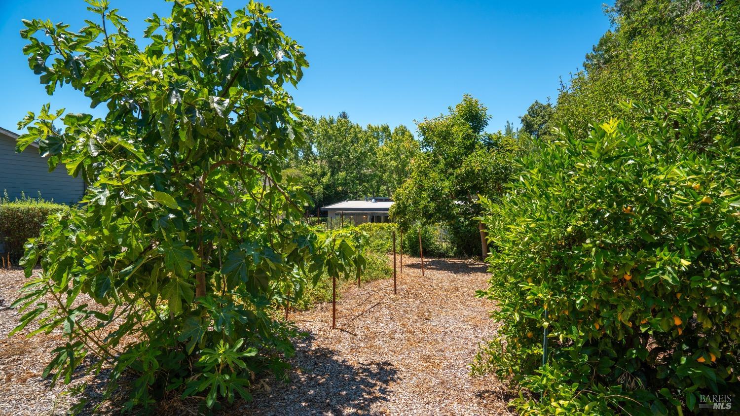 1541 Mountain View Ave