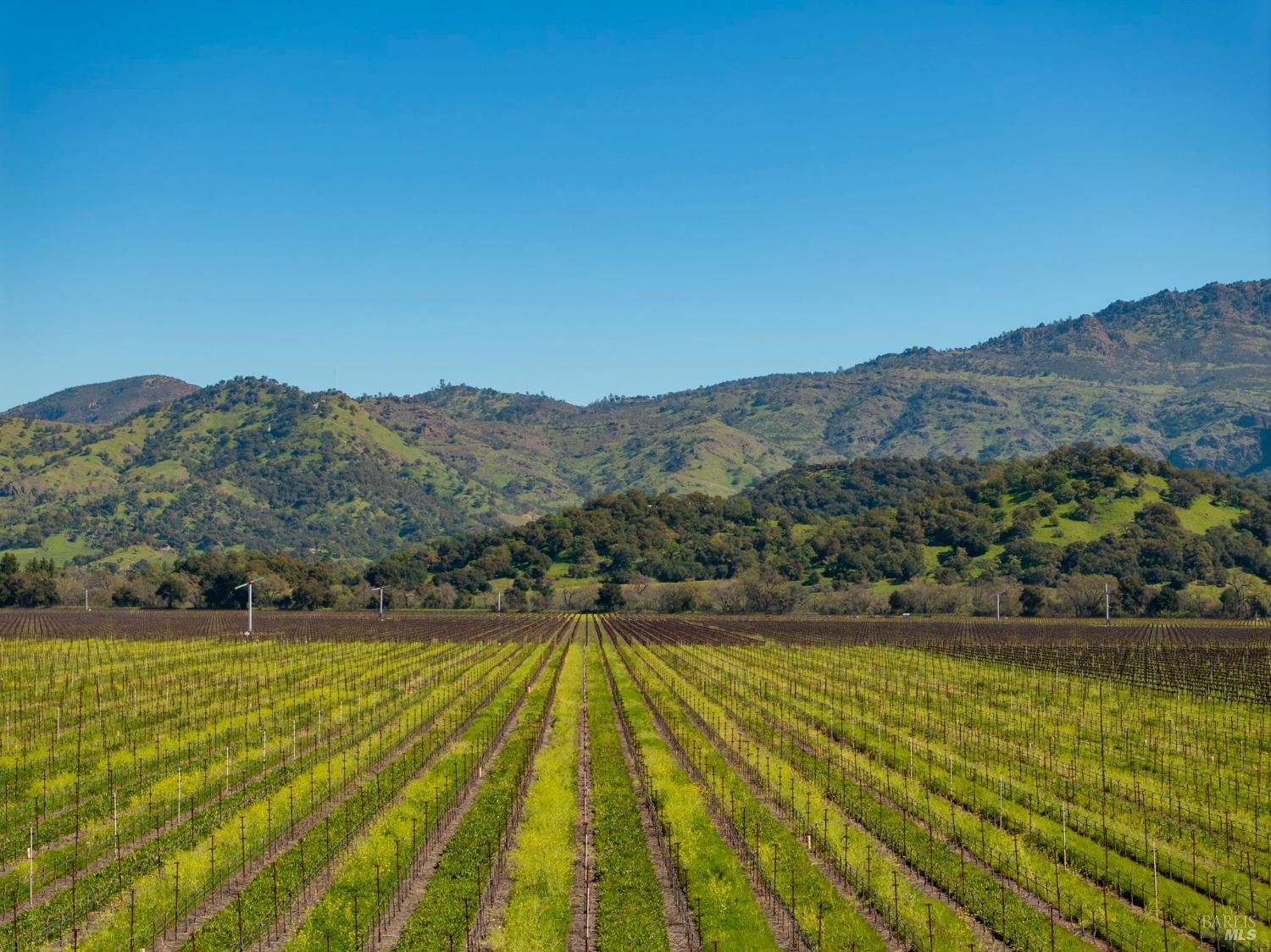 6468 Washington St #143